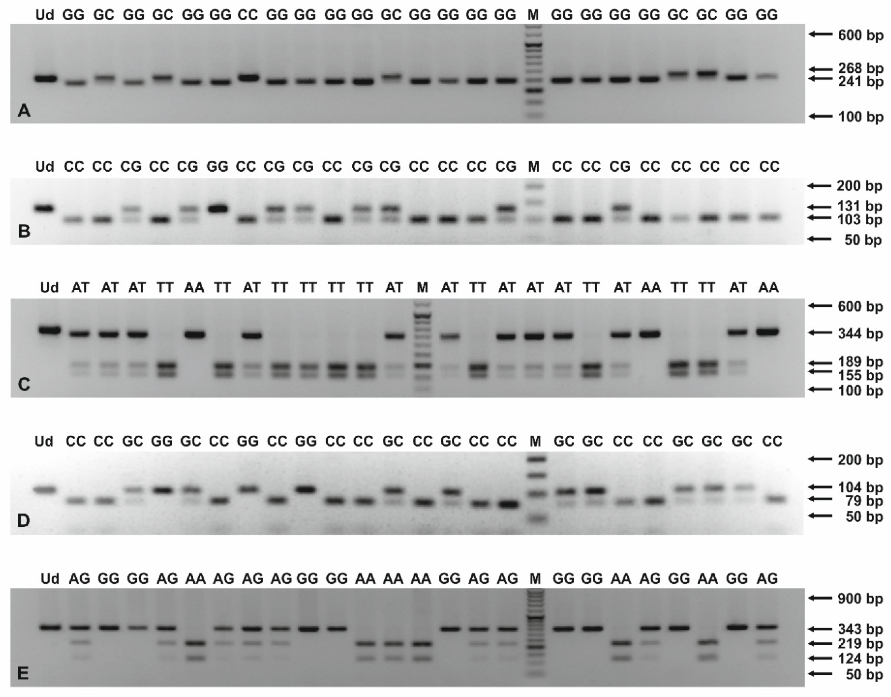 Biology 11 00447 g001