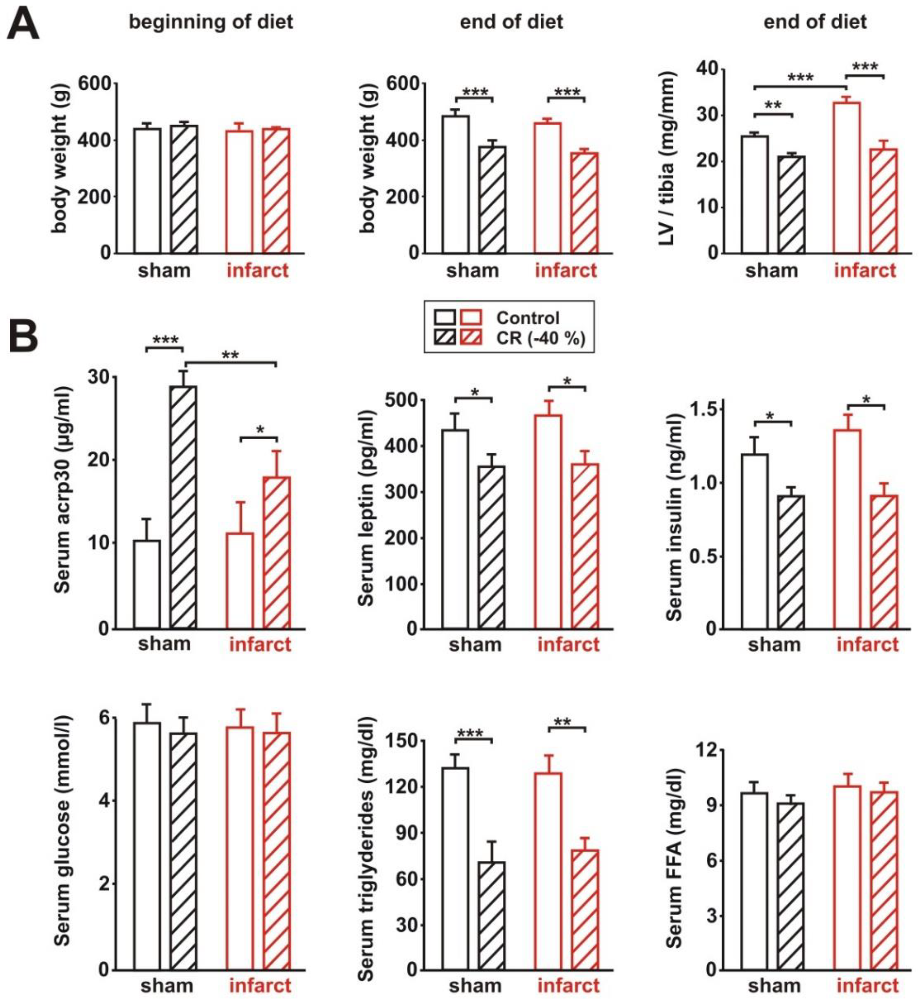 Biology 11 00448 g001