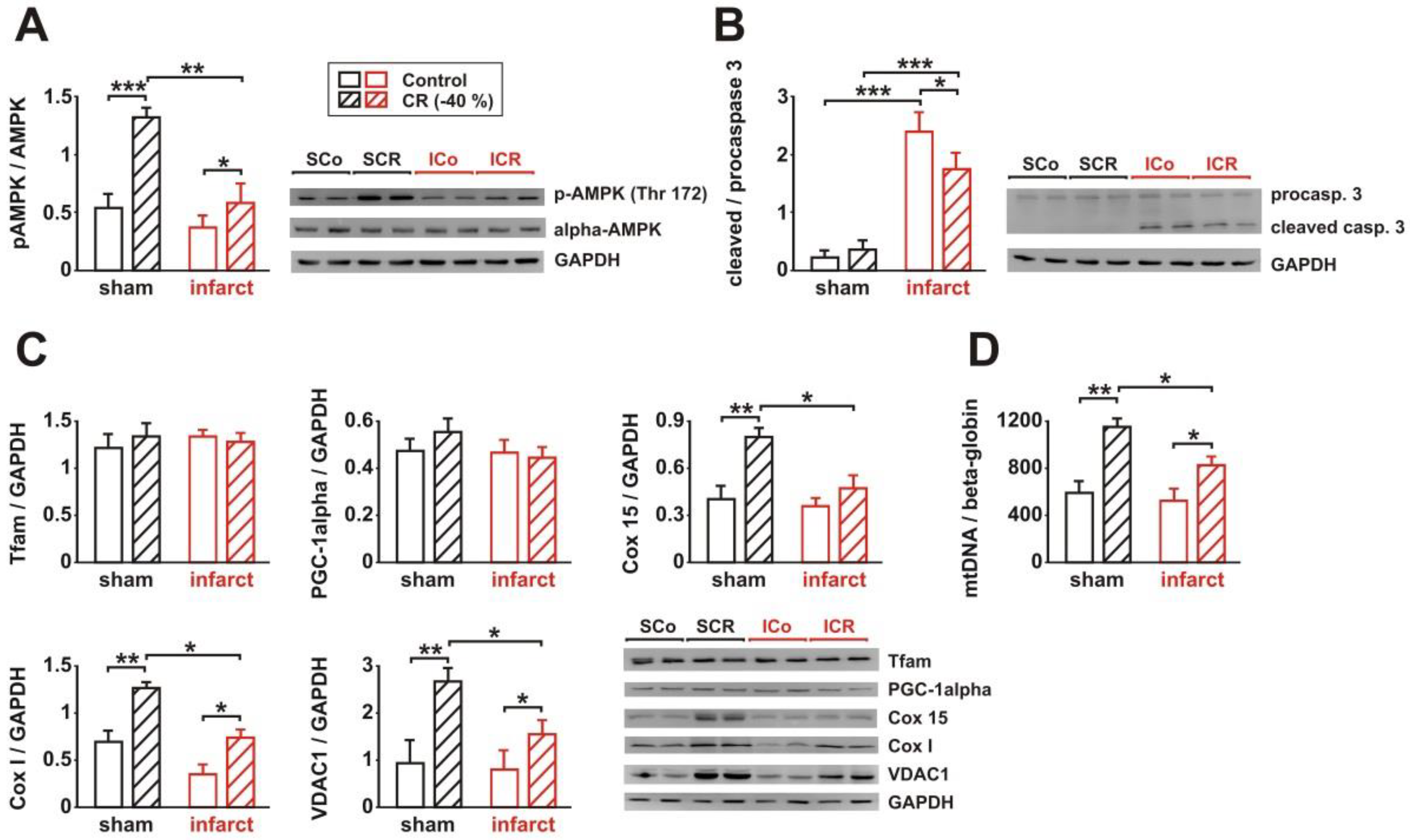 Biology 11 00448 g003