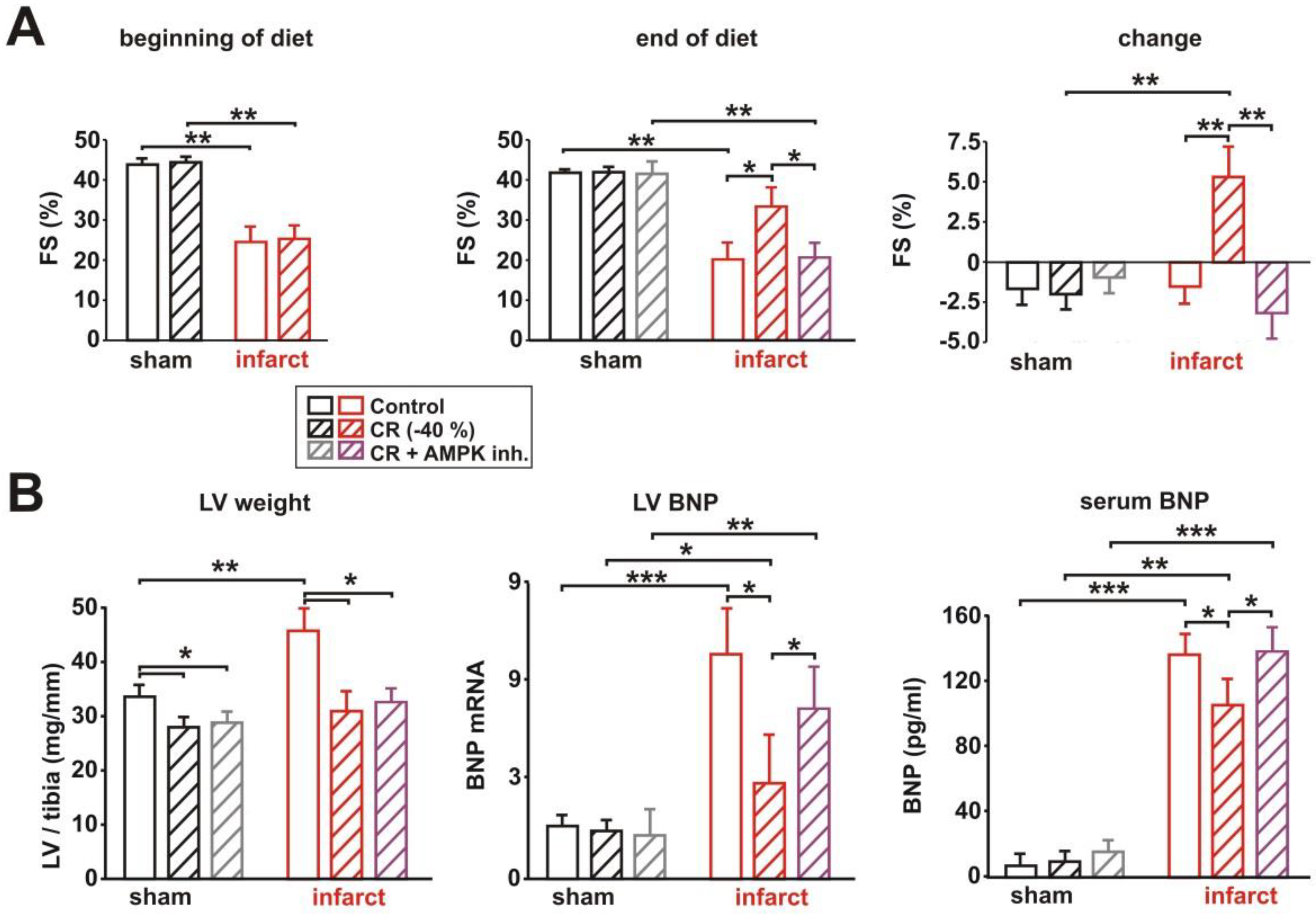Biology 11 00448 g004