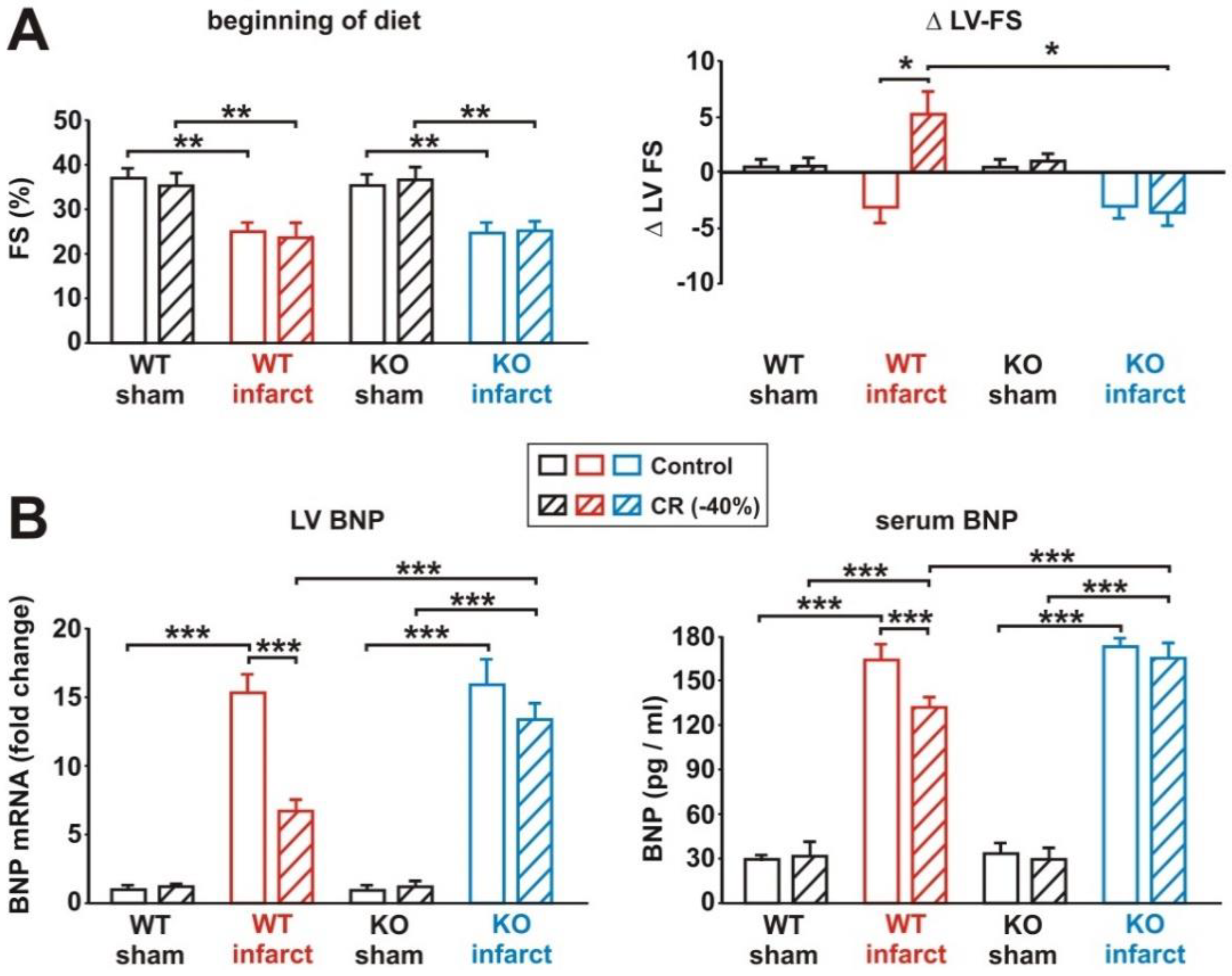 Biology 11 00448 g007