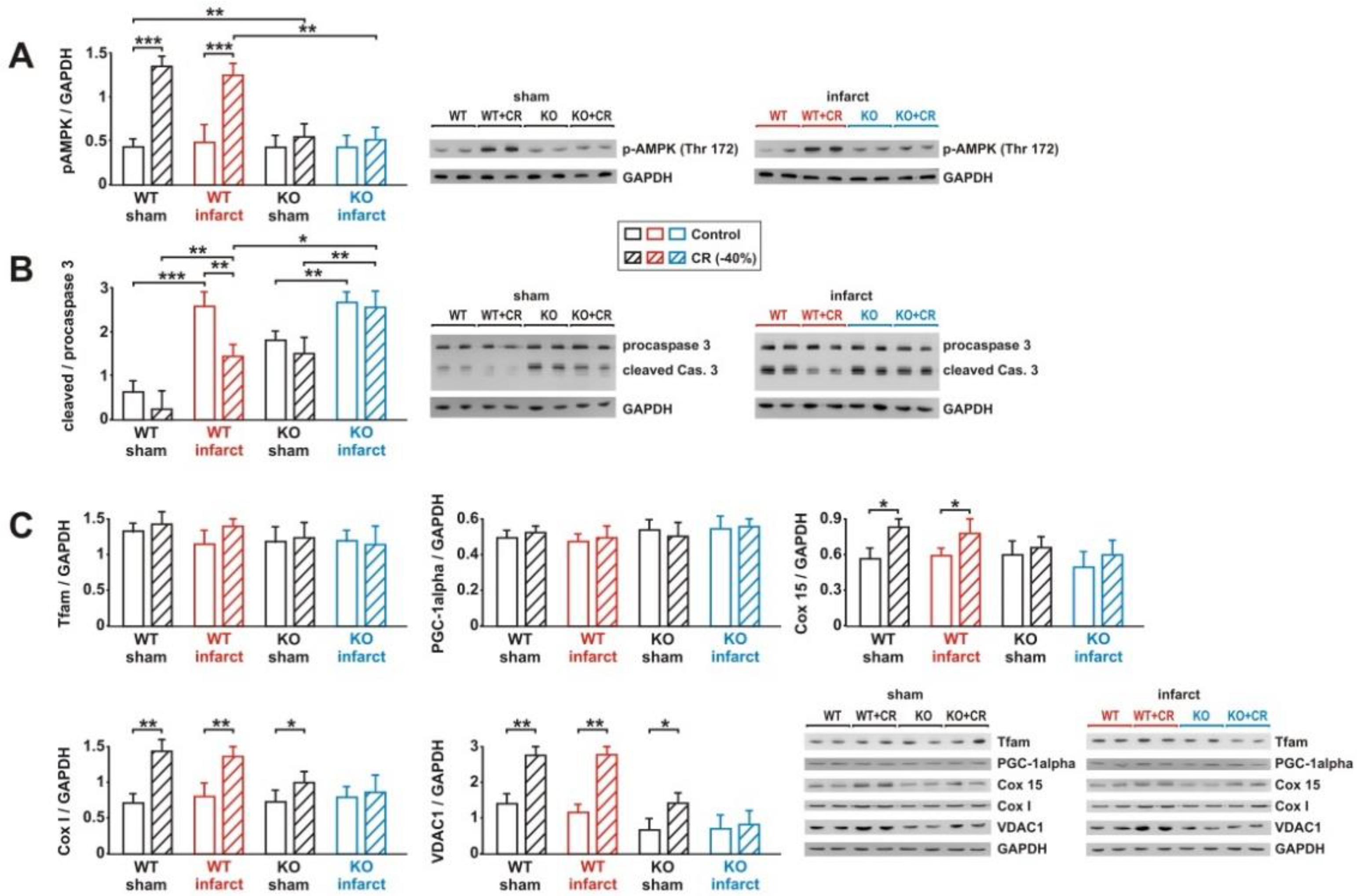 Biology 11 00448 g008
