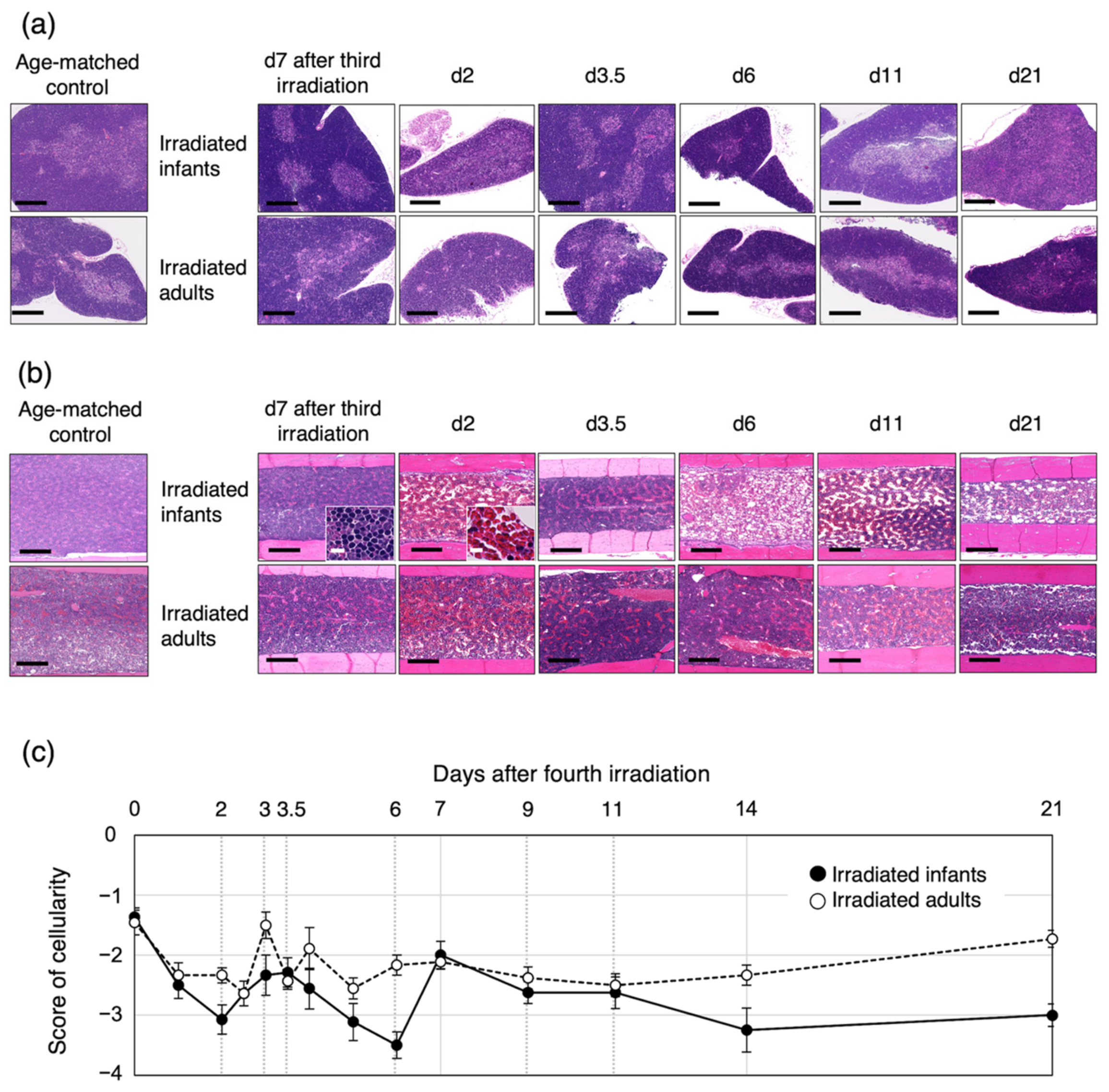 Biology 11 00449 g005