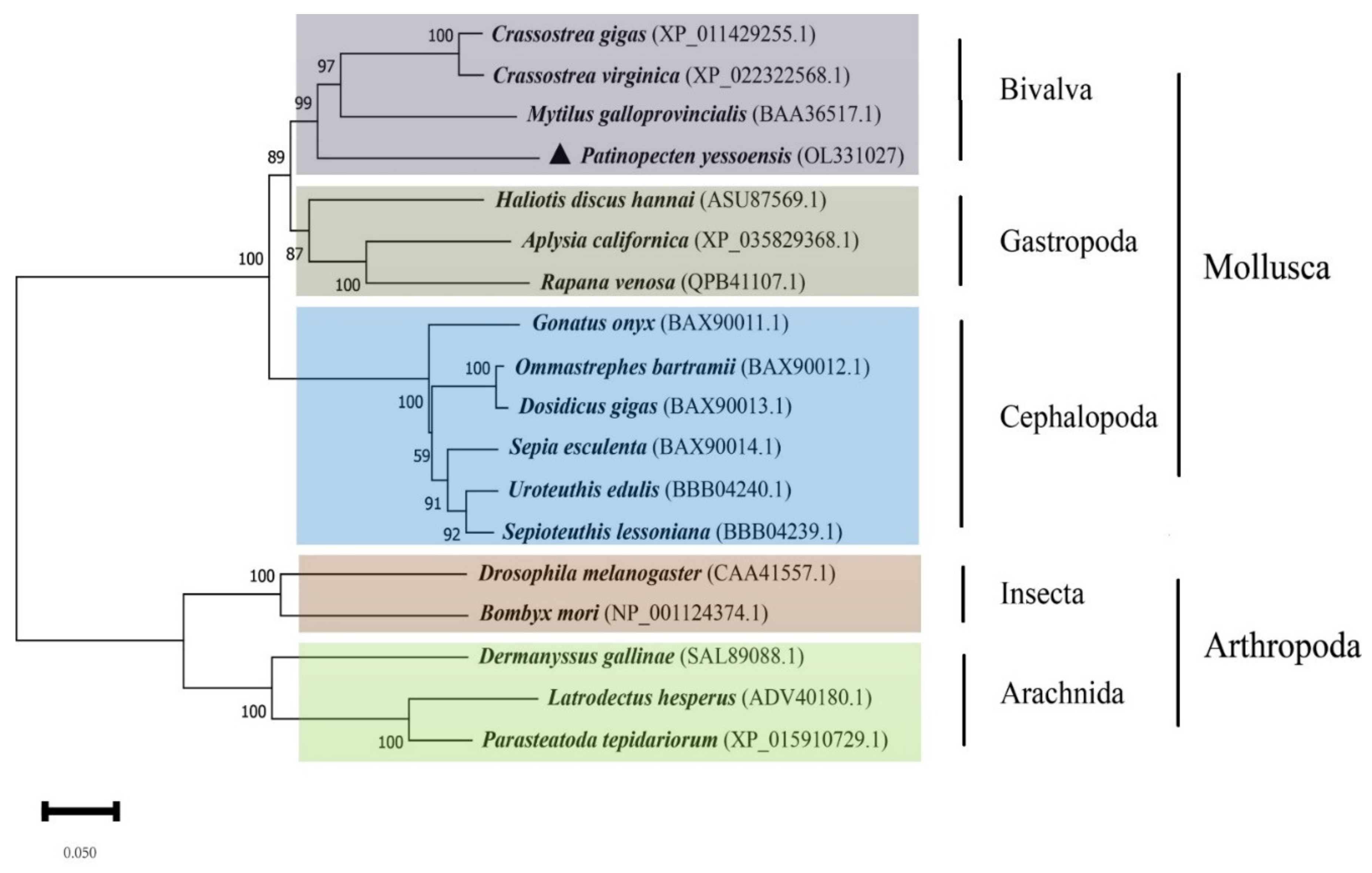 Biology 11 00453 g005 Biology 11 00453 g005