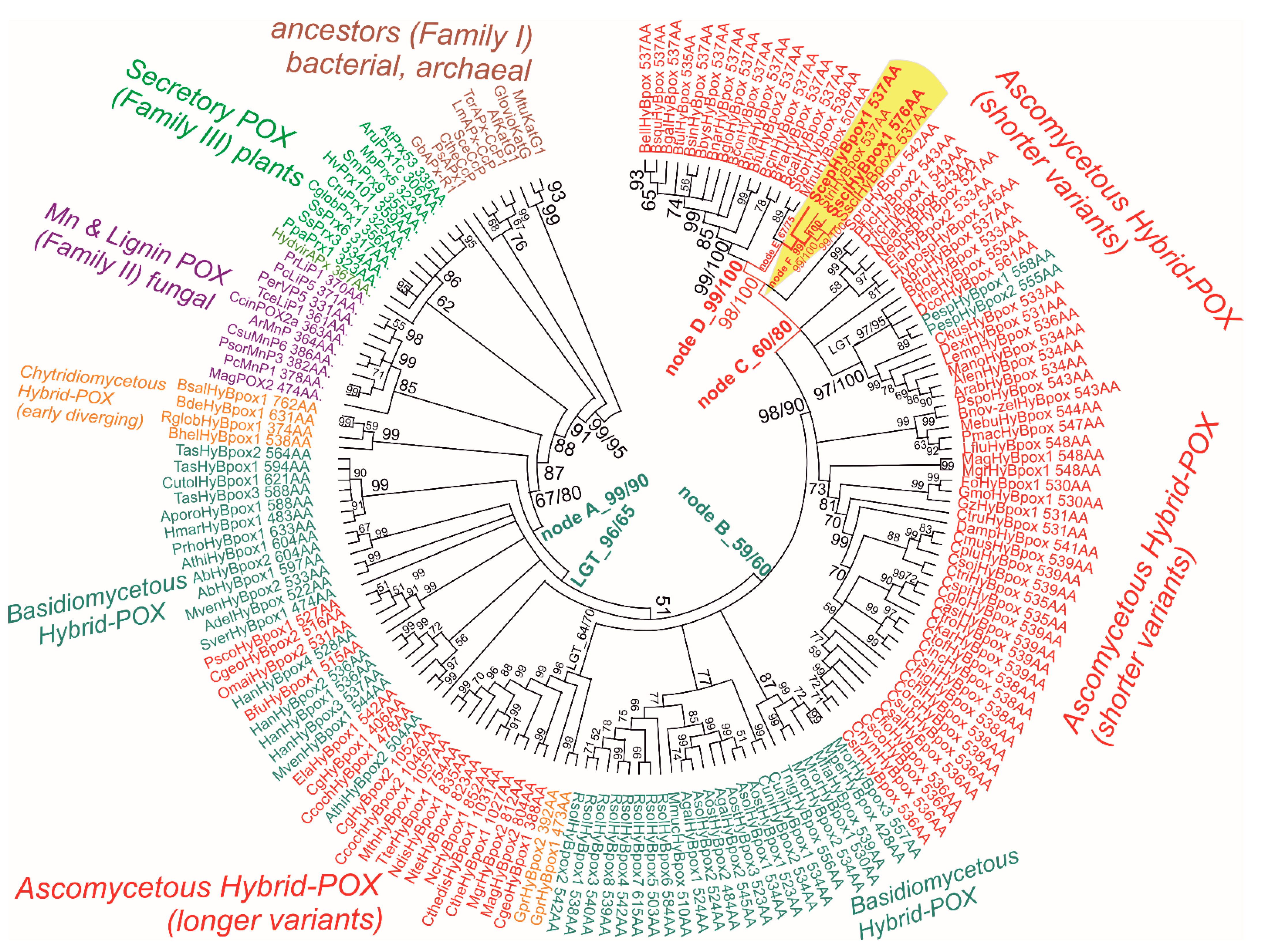 Biology 11 00459 g003