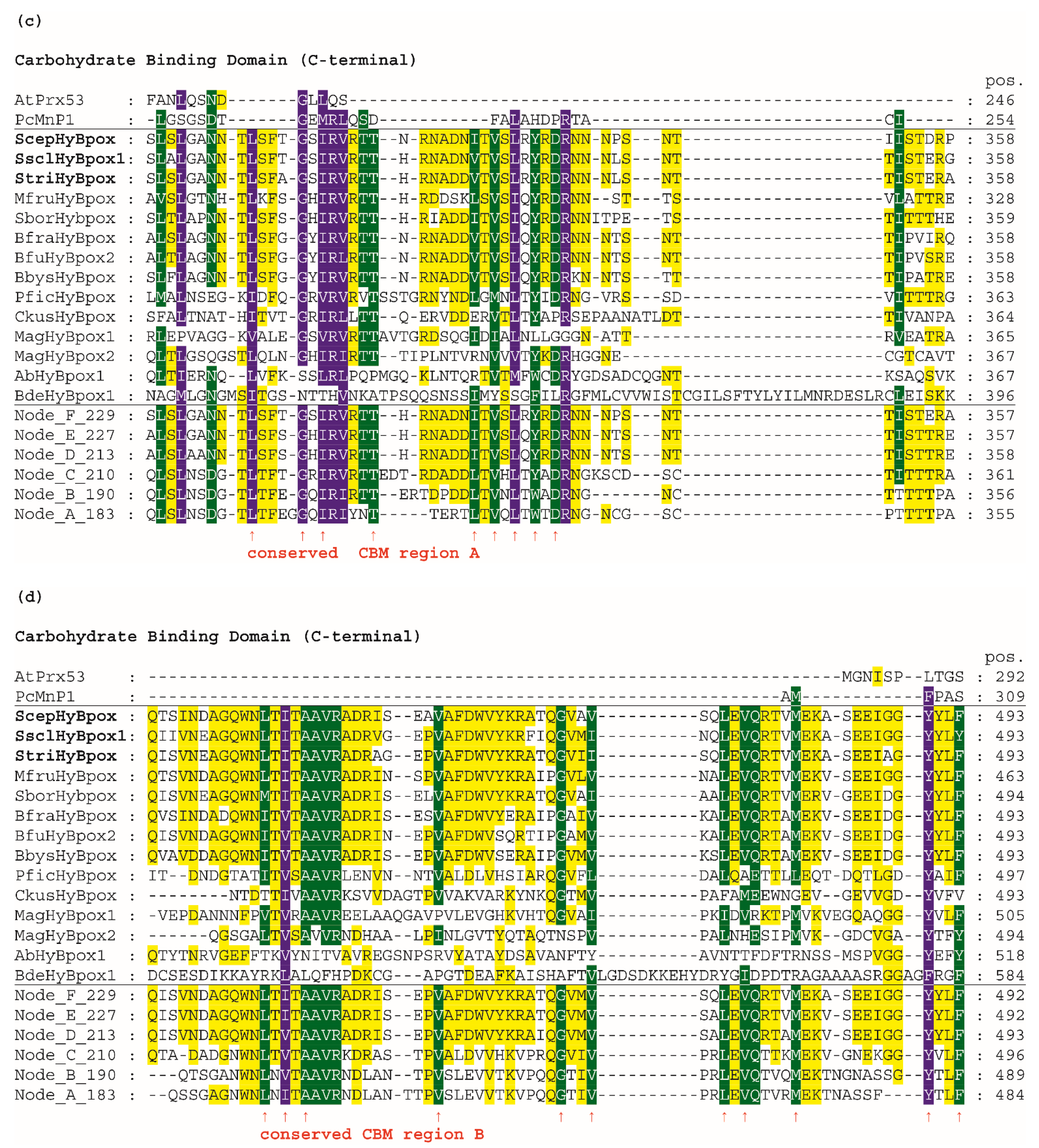 Biology 11 00459 g004b