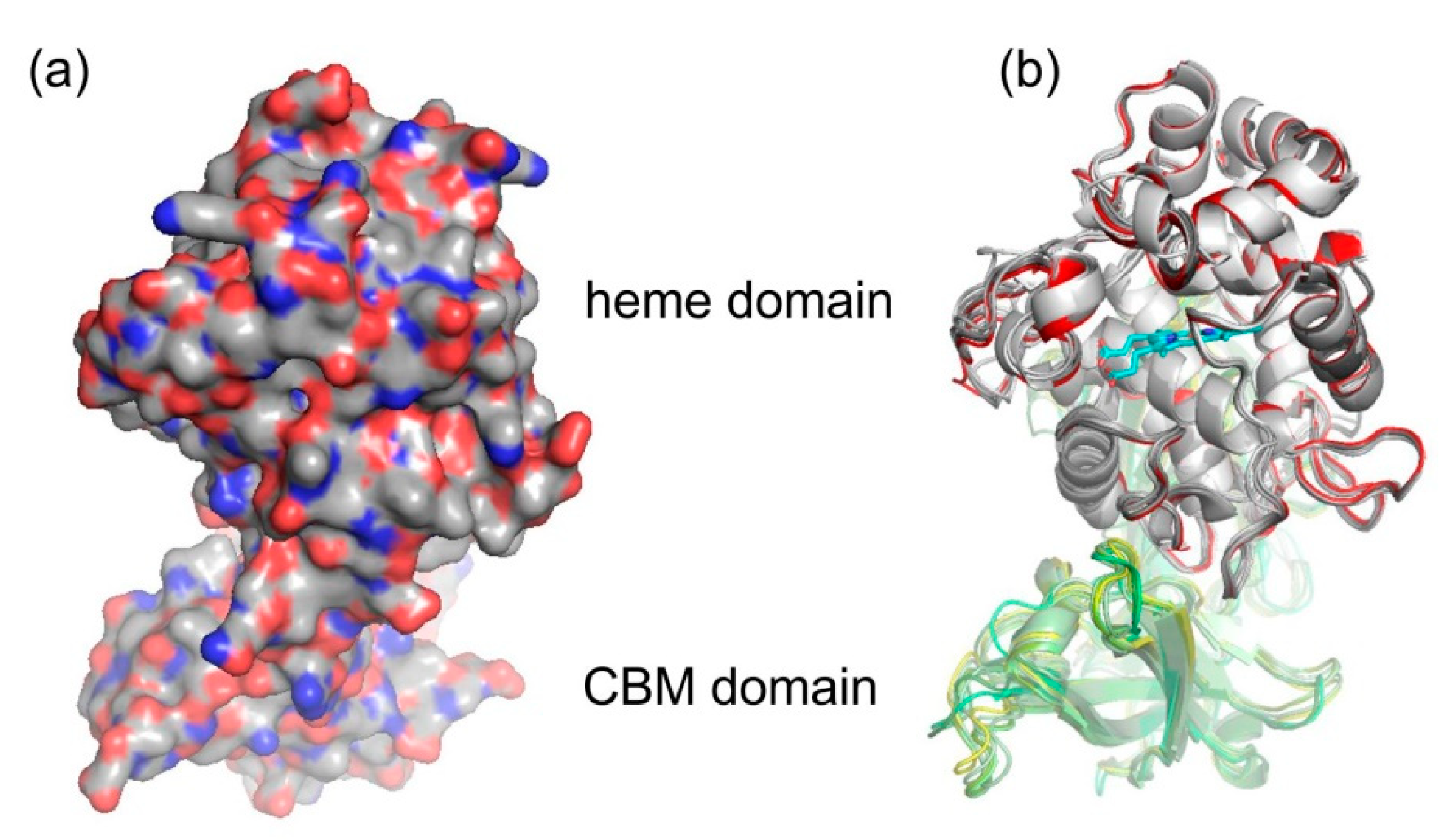 Biology 11 00459 g005