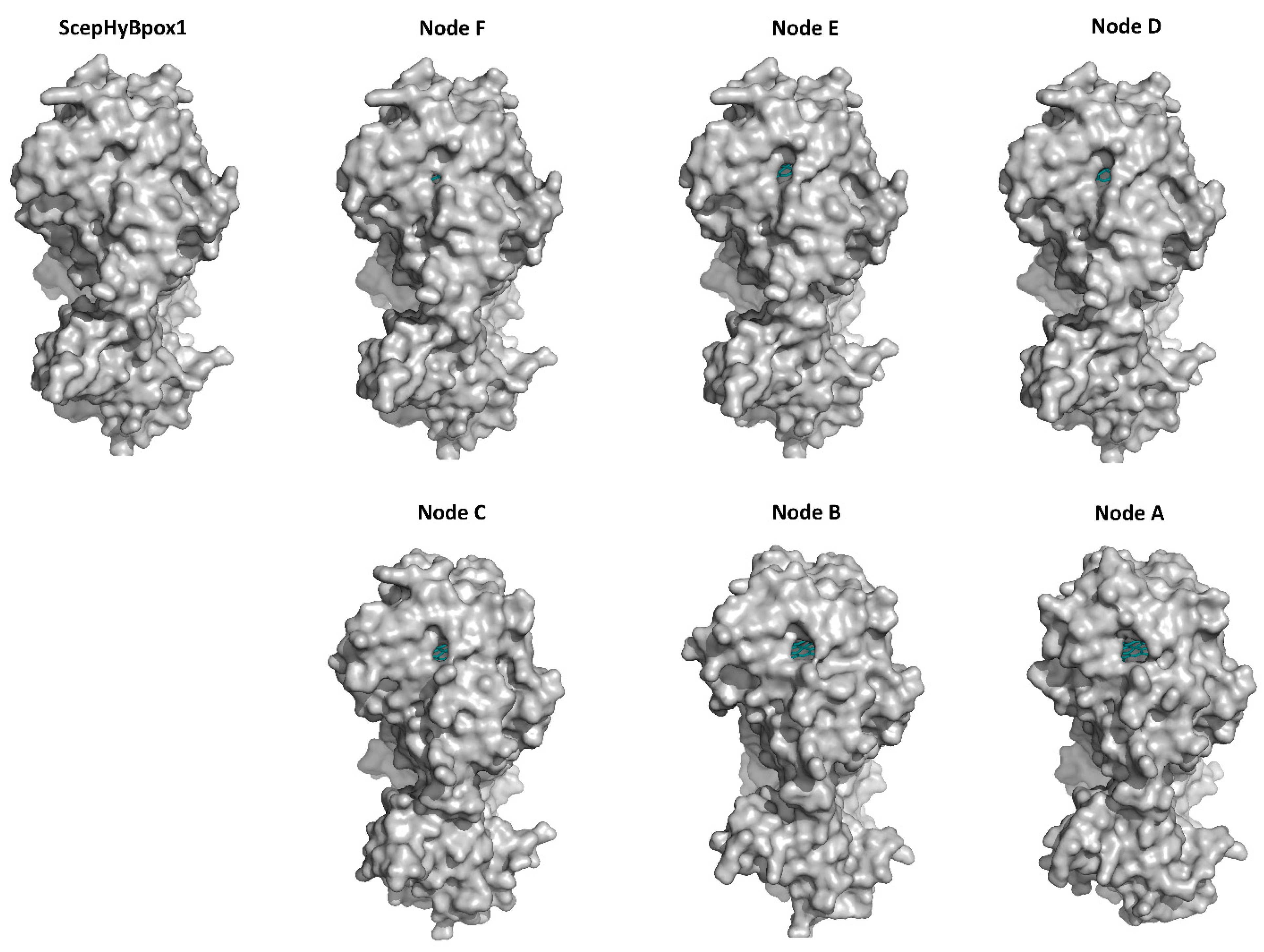Biology 11 00459 g006