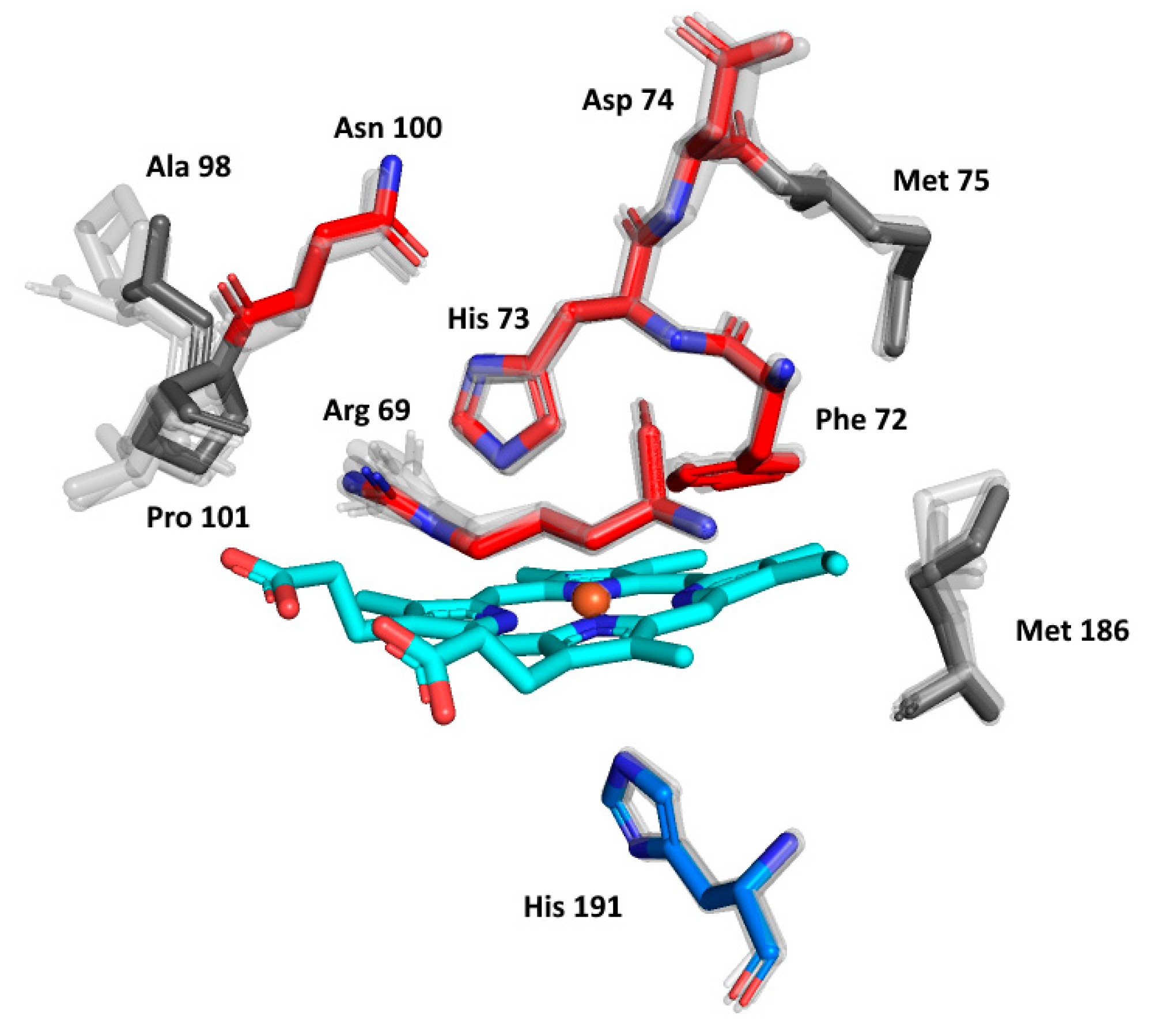 Biology 11 00459 g007