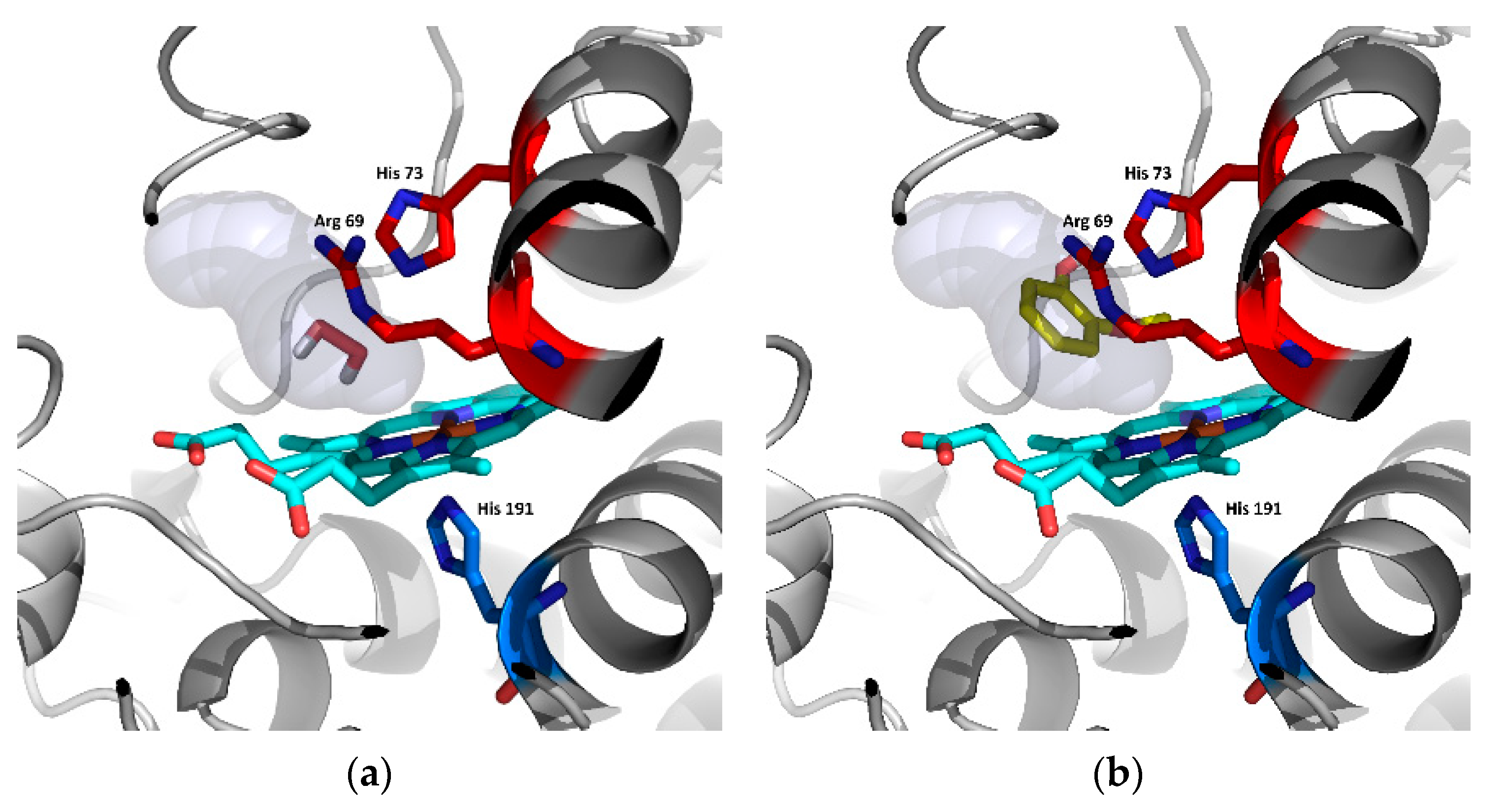 Biology 11 00459 g008