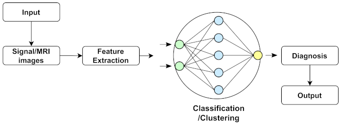 Biology 11 00469 g003