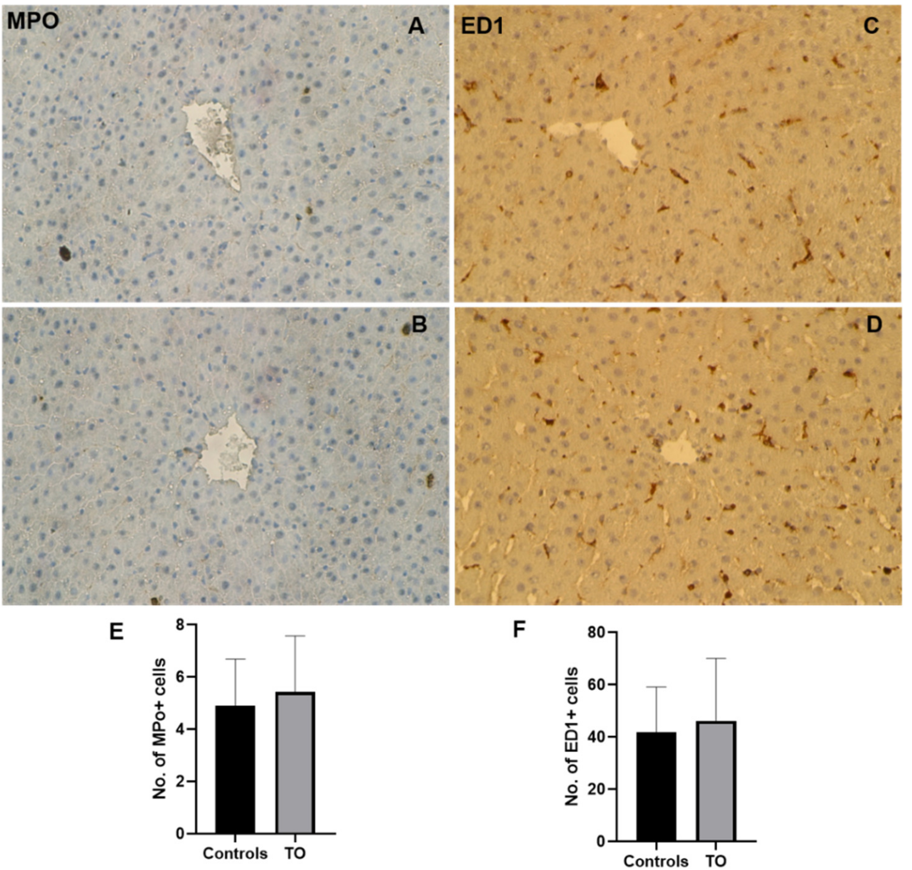 Biology 11 00470 g006 Biology 11 00470 g006
