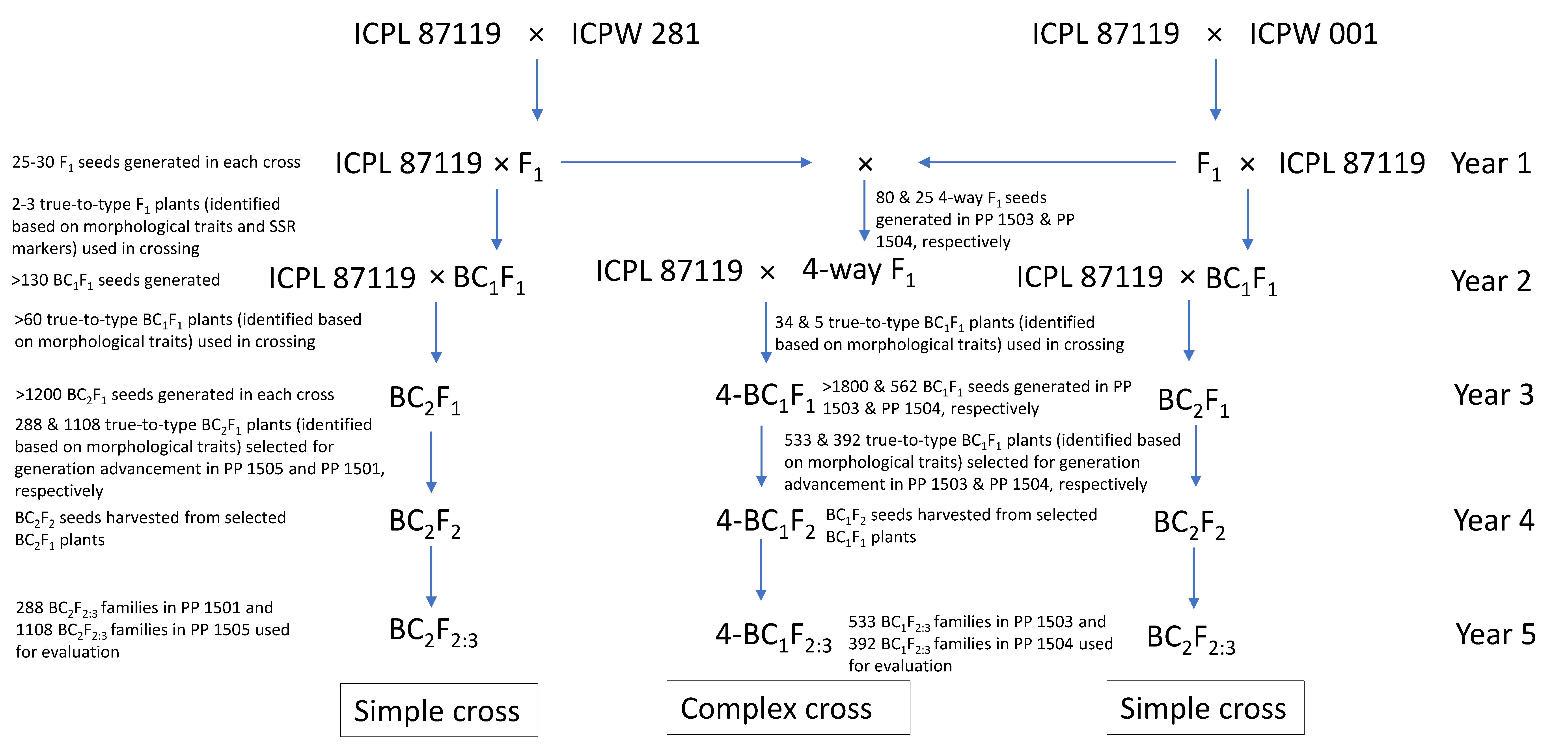 Biology 11 00485 g001