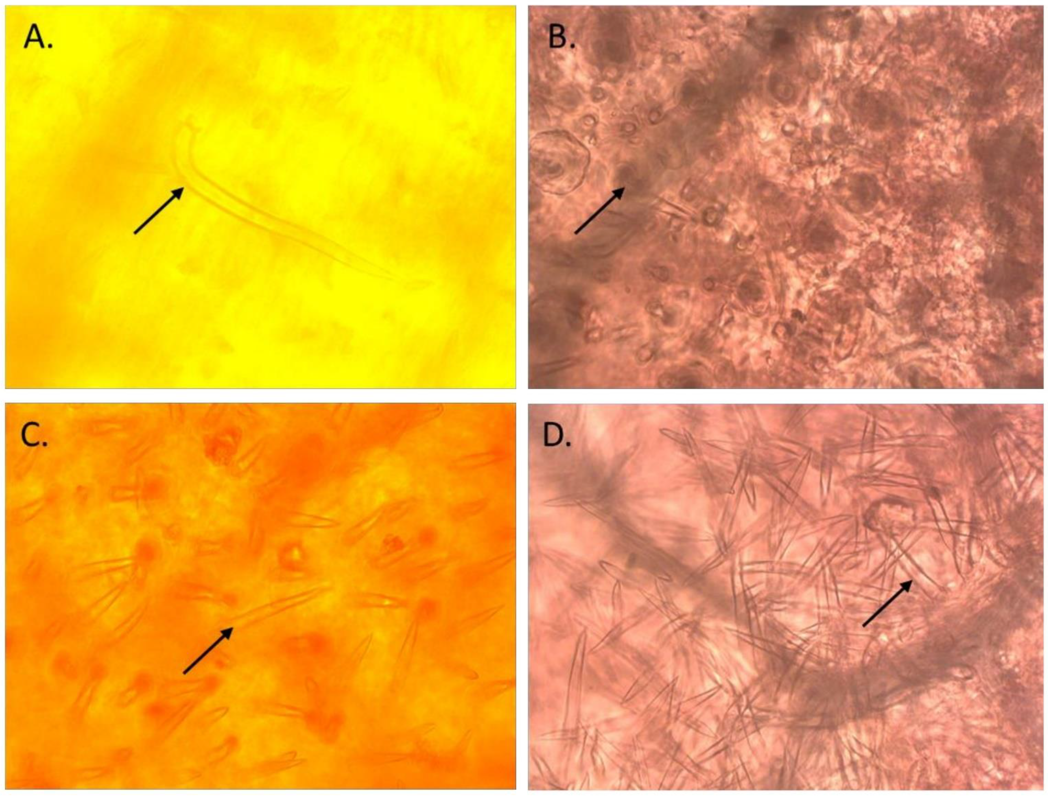 Biology 11 00485 g002