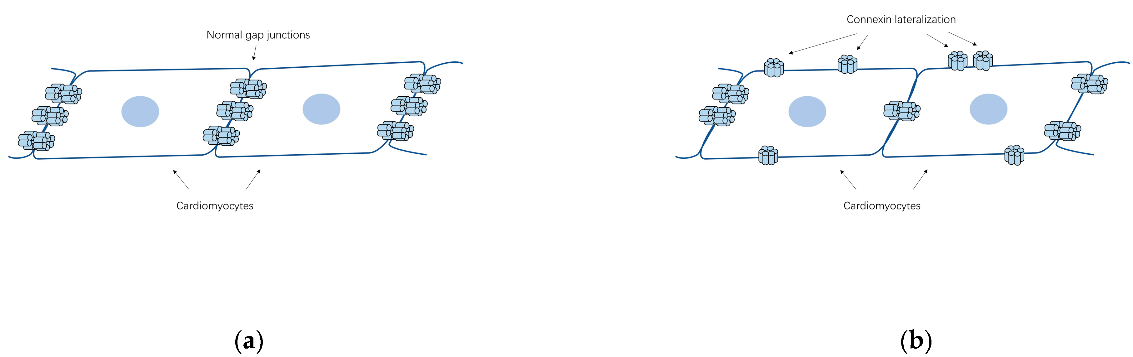 Biology 11 00489 g002