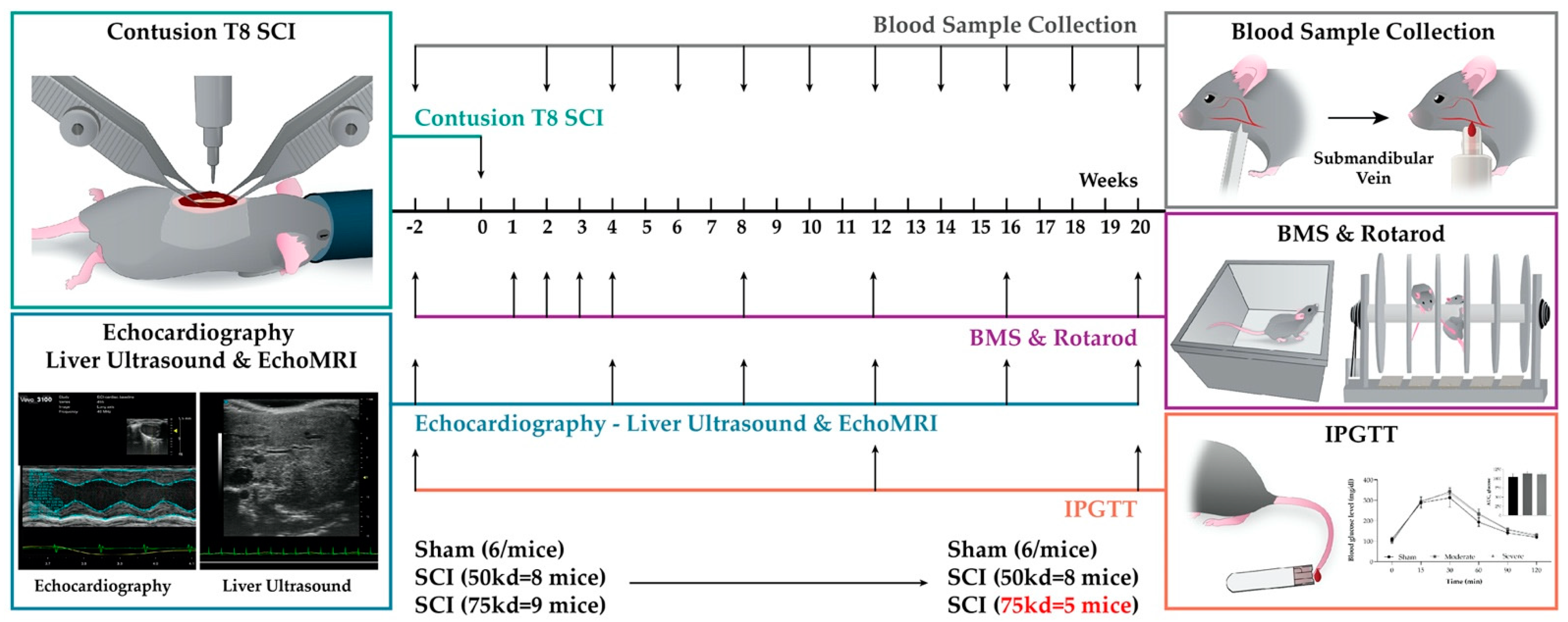 Biology 11 00495 g001 Biology 11 00495 g001