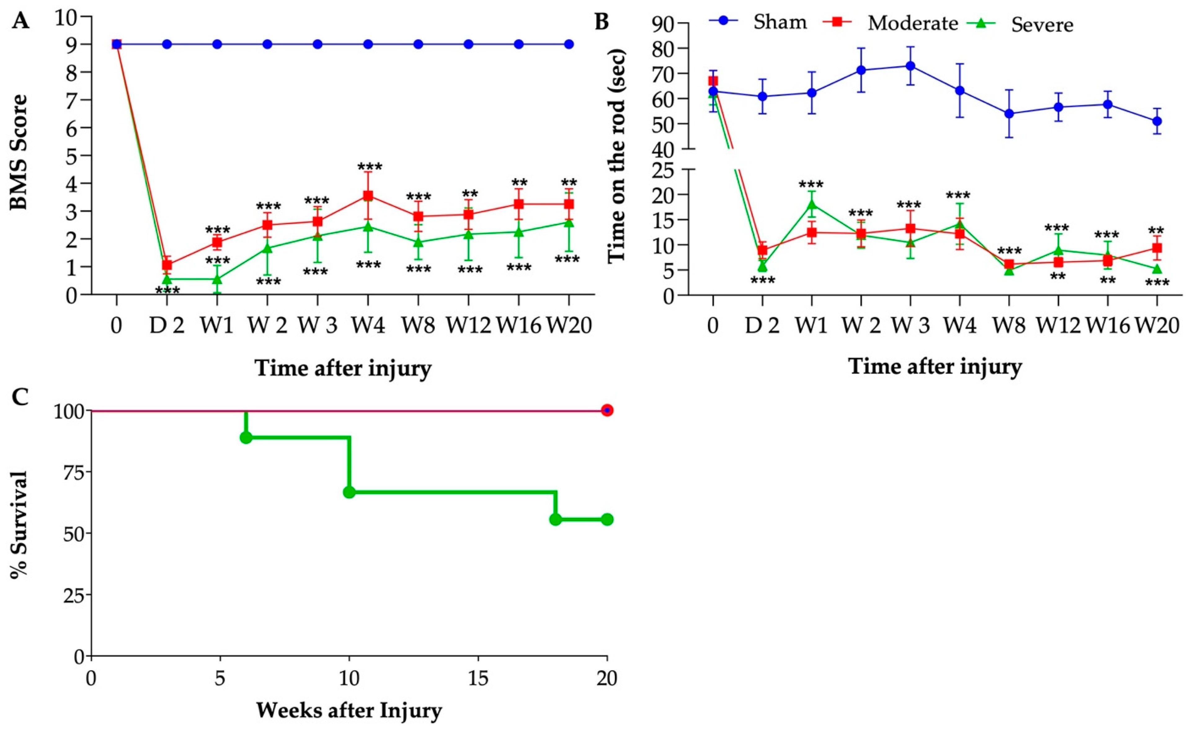 Biology 11 00495 g002 Biology 11 00495 g002
