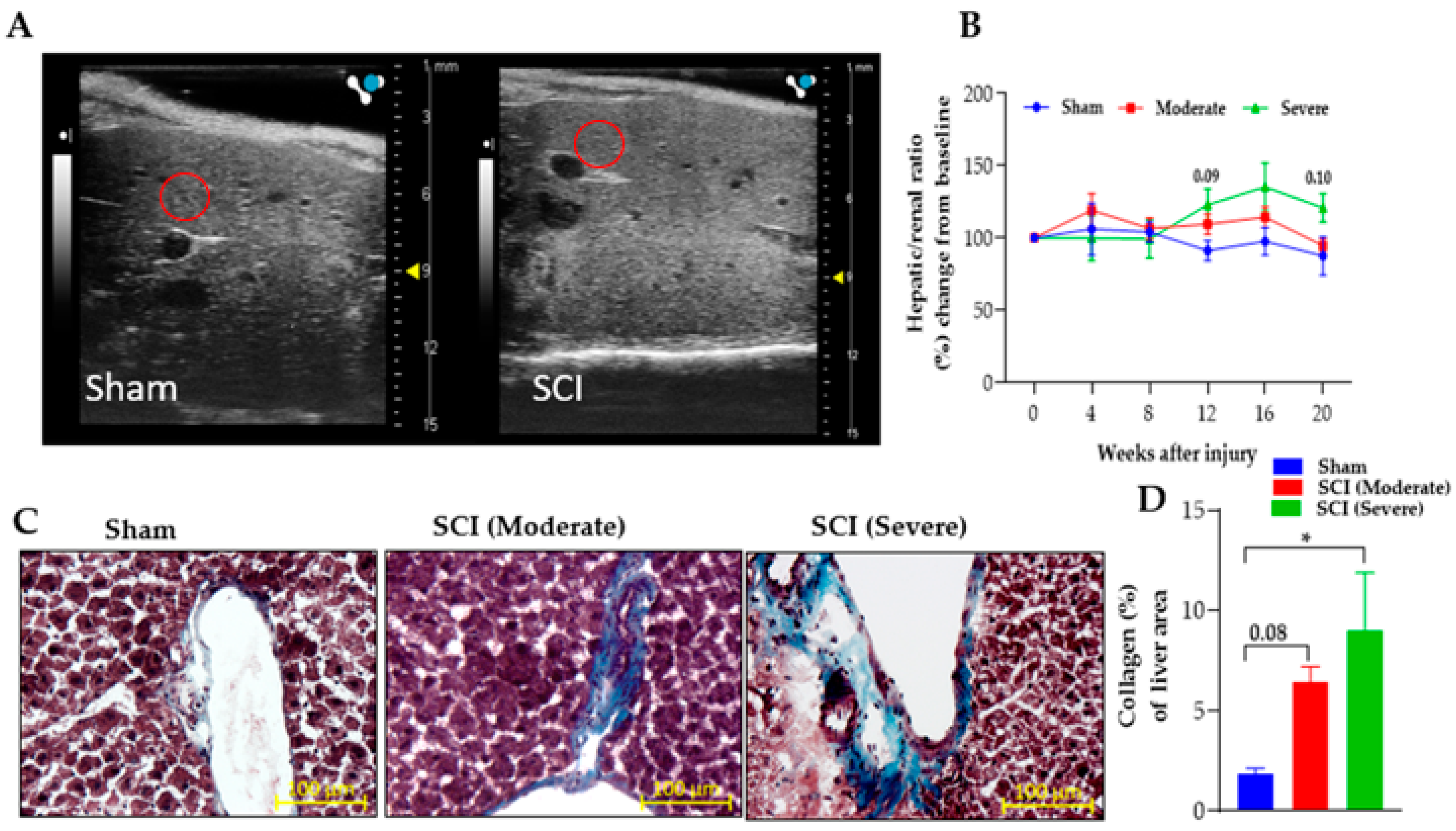 Biology 11 00495 g004 Biology 11 00495 g004
