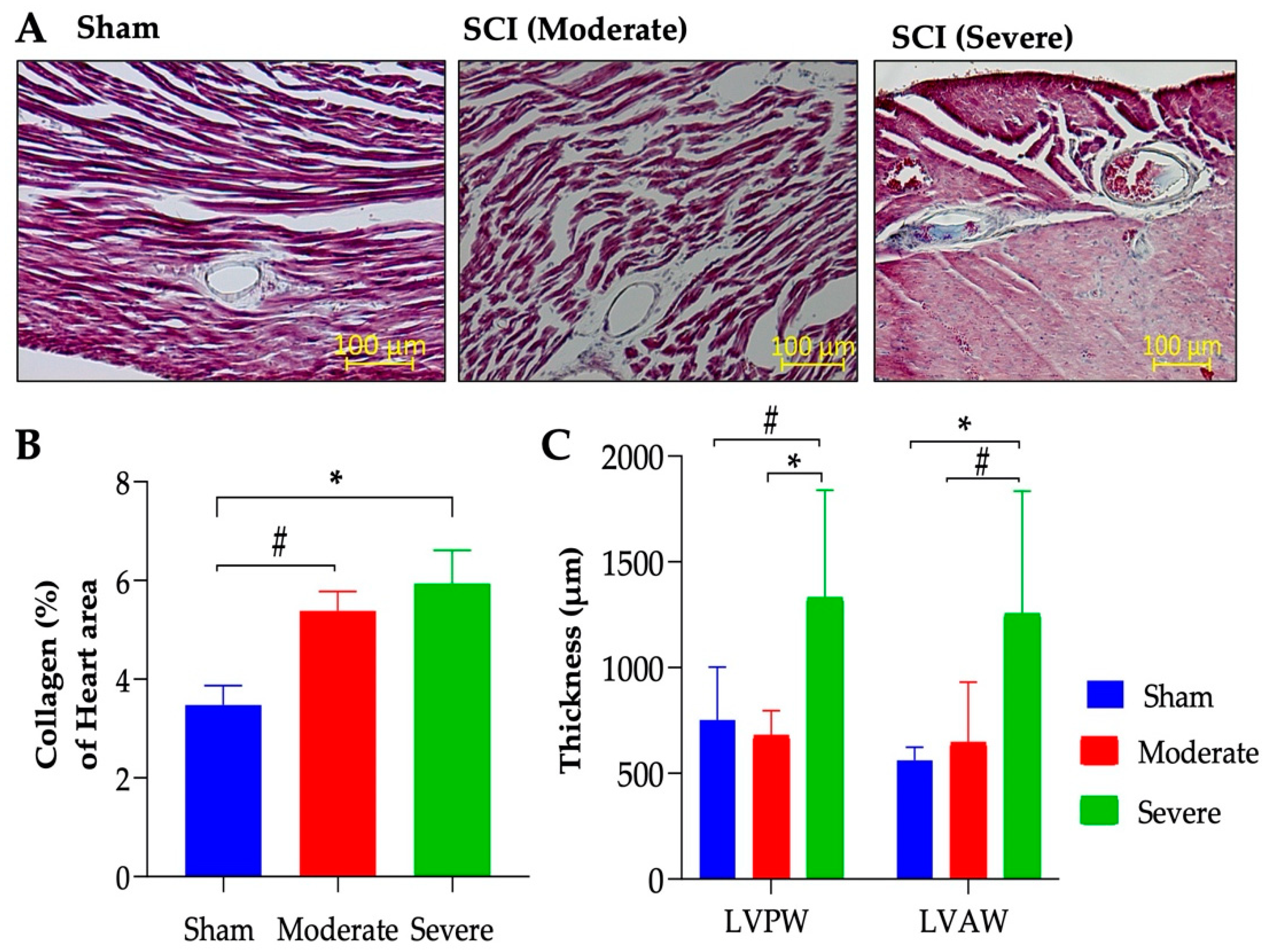 Biology 11 00495 g006 Biology 11 00495 g006