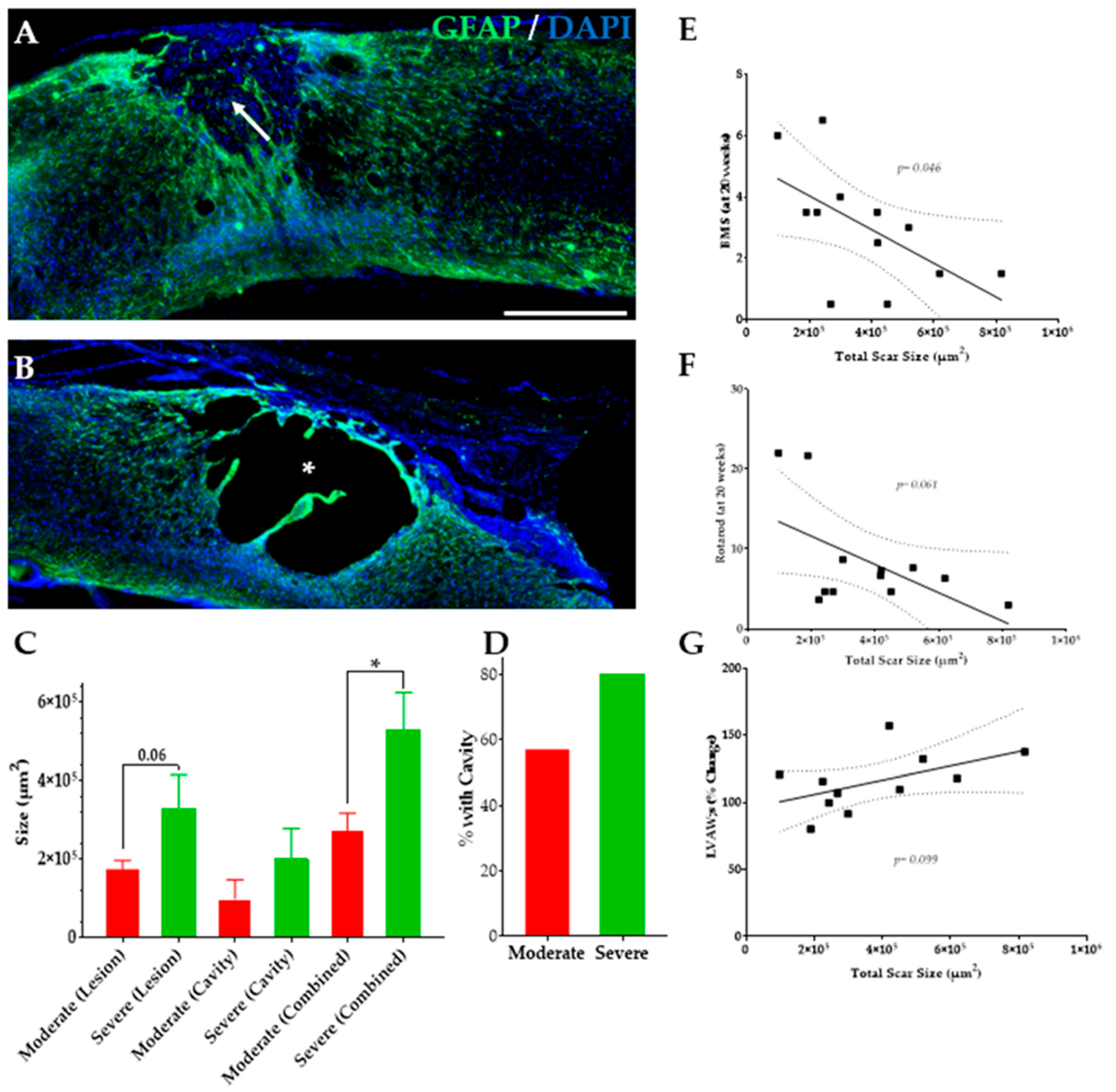 Biology 11 00495 g008 Biology 11 00495 g008
