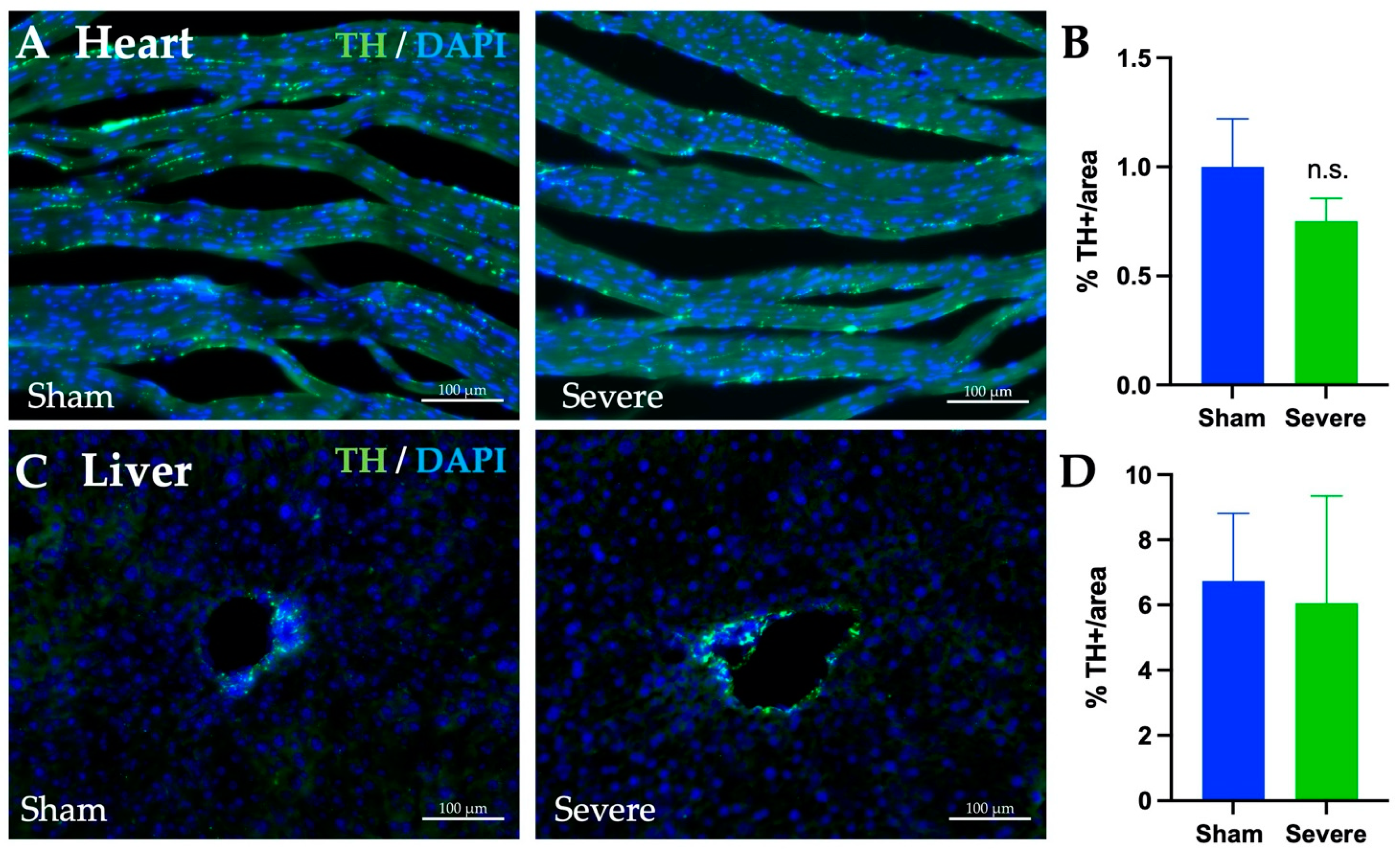 Biology 11 00495 g010 Biology 11 00495 g010