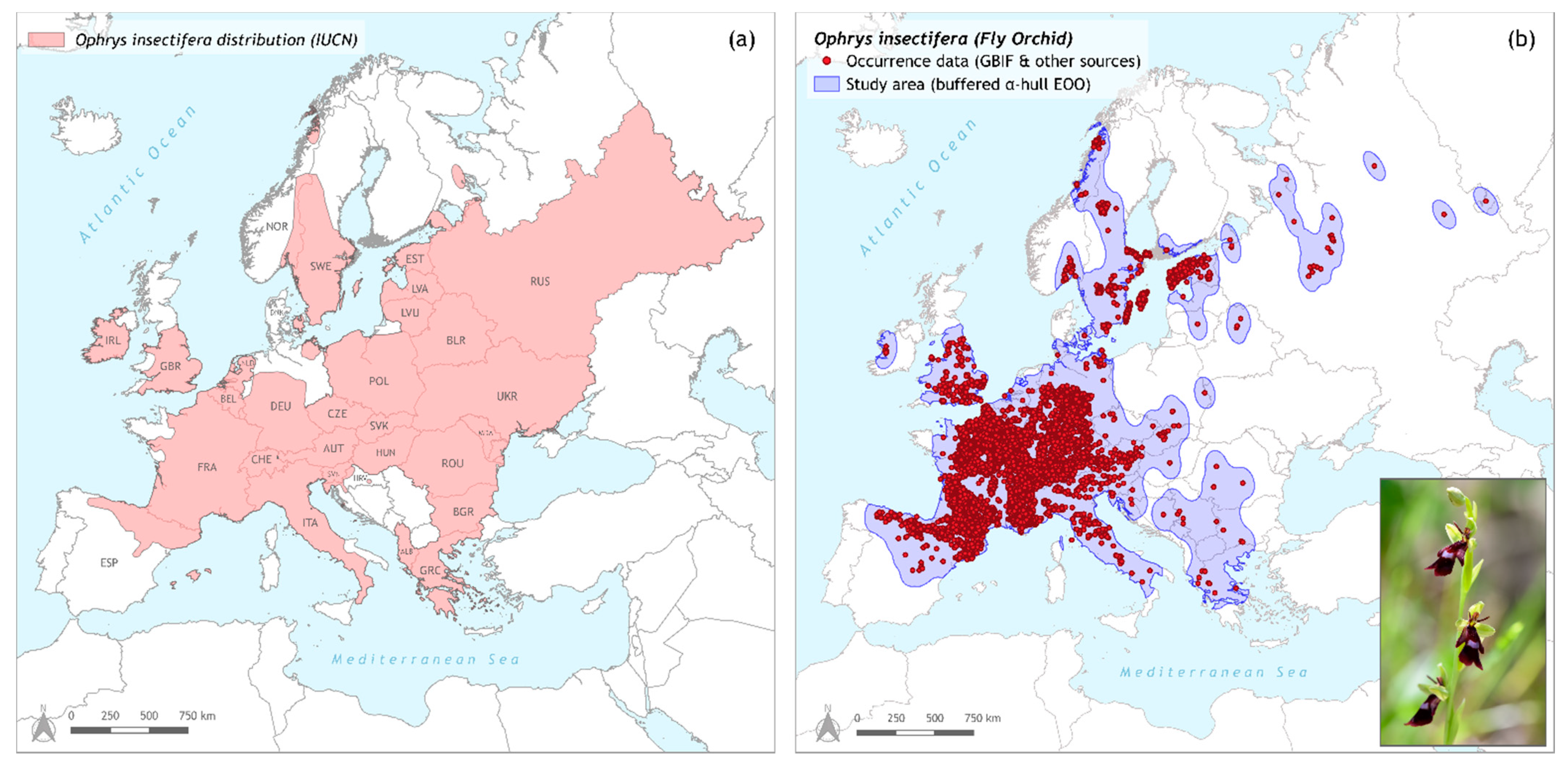 Biology 11 00497 g001