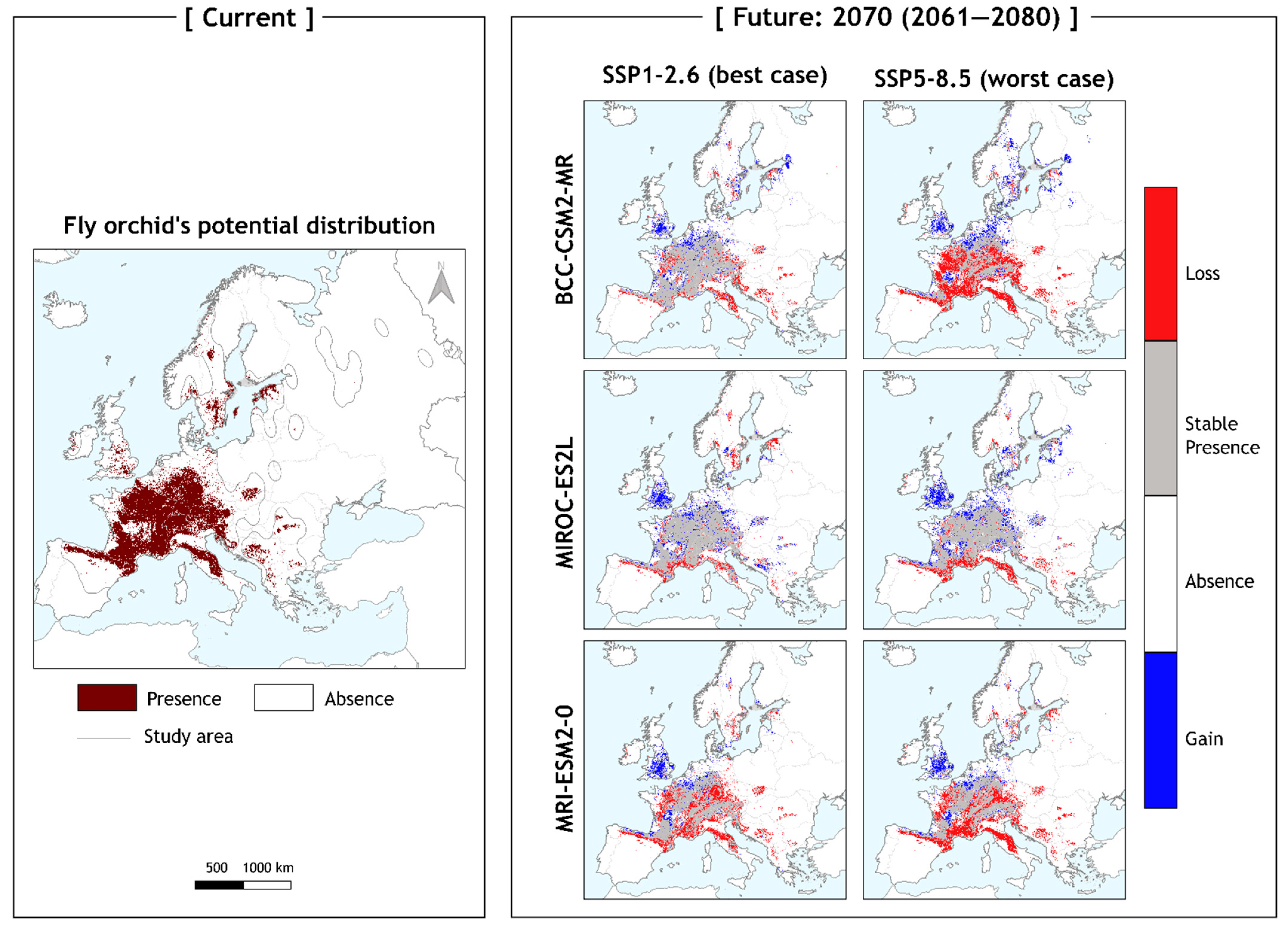 Biology 11 00497 g003