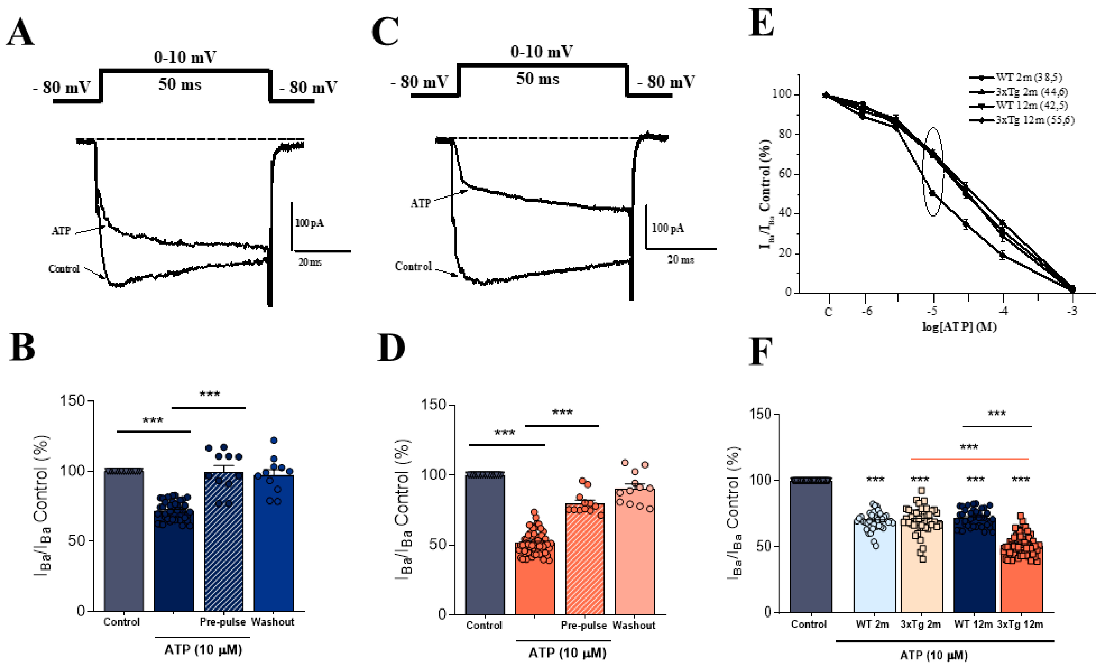 Biology 11 00511 g001