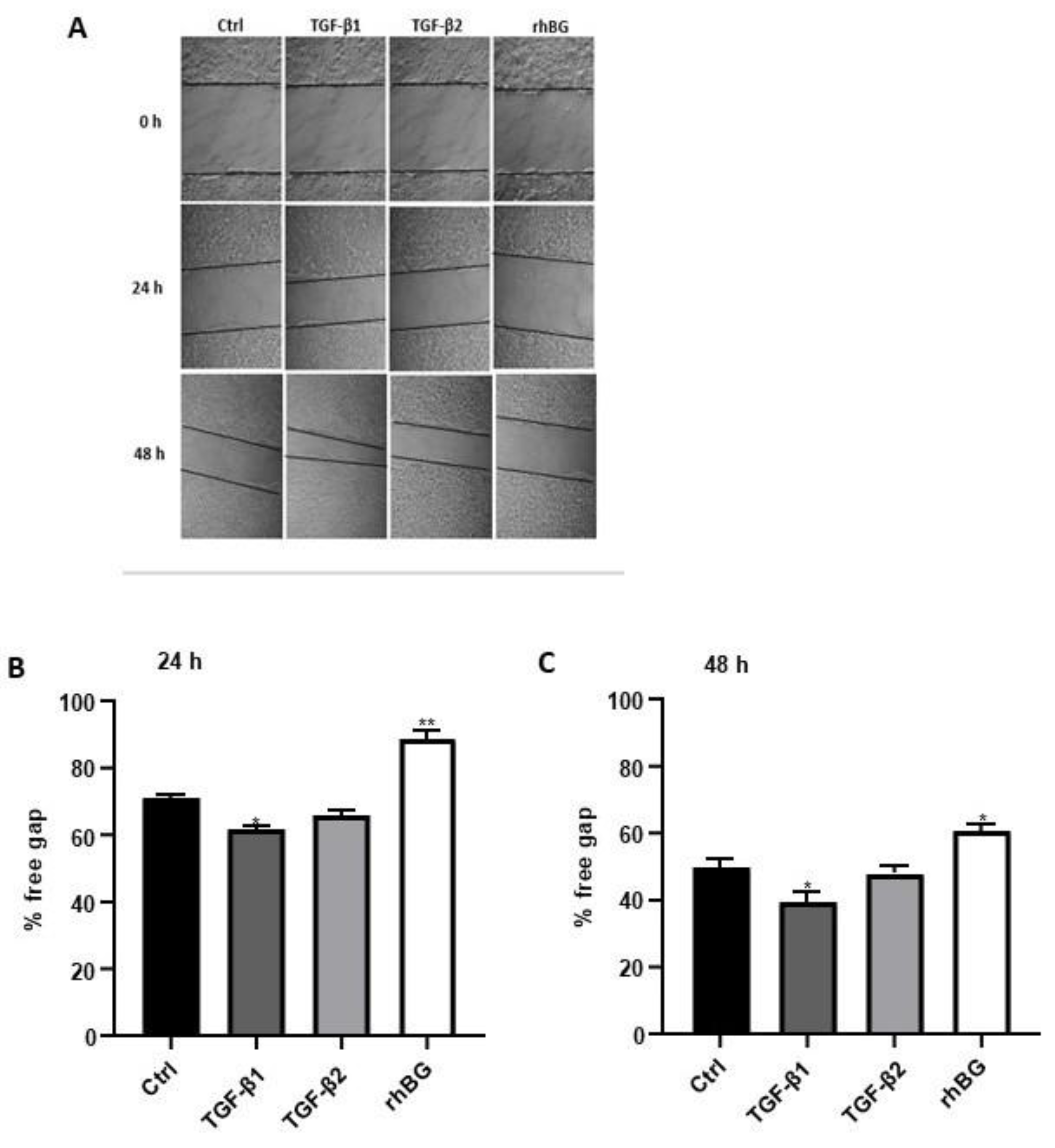 Biology 11 00513 g007