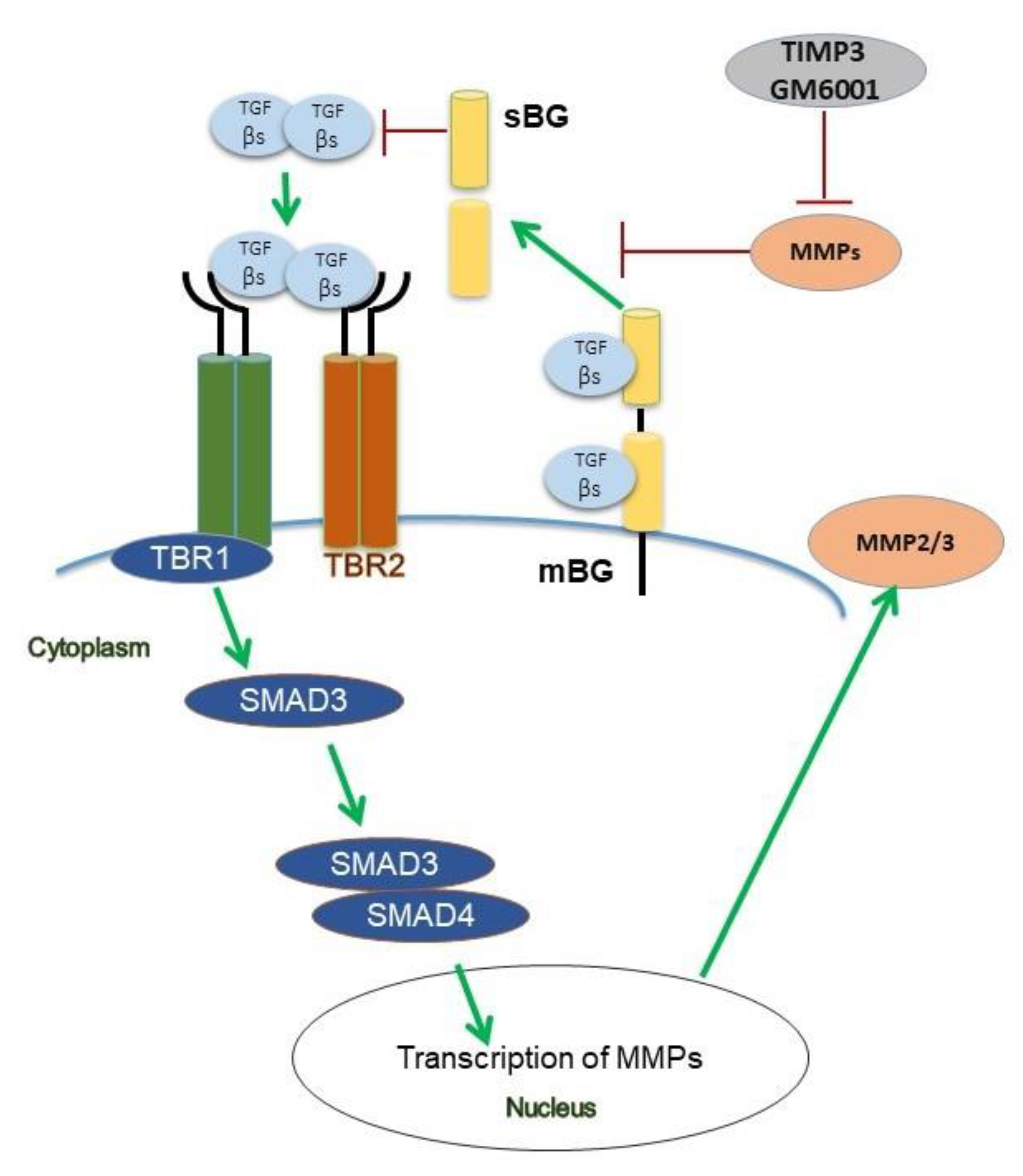 Biology 11 00513 g008