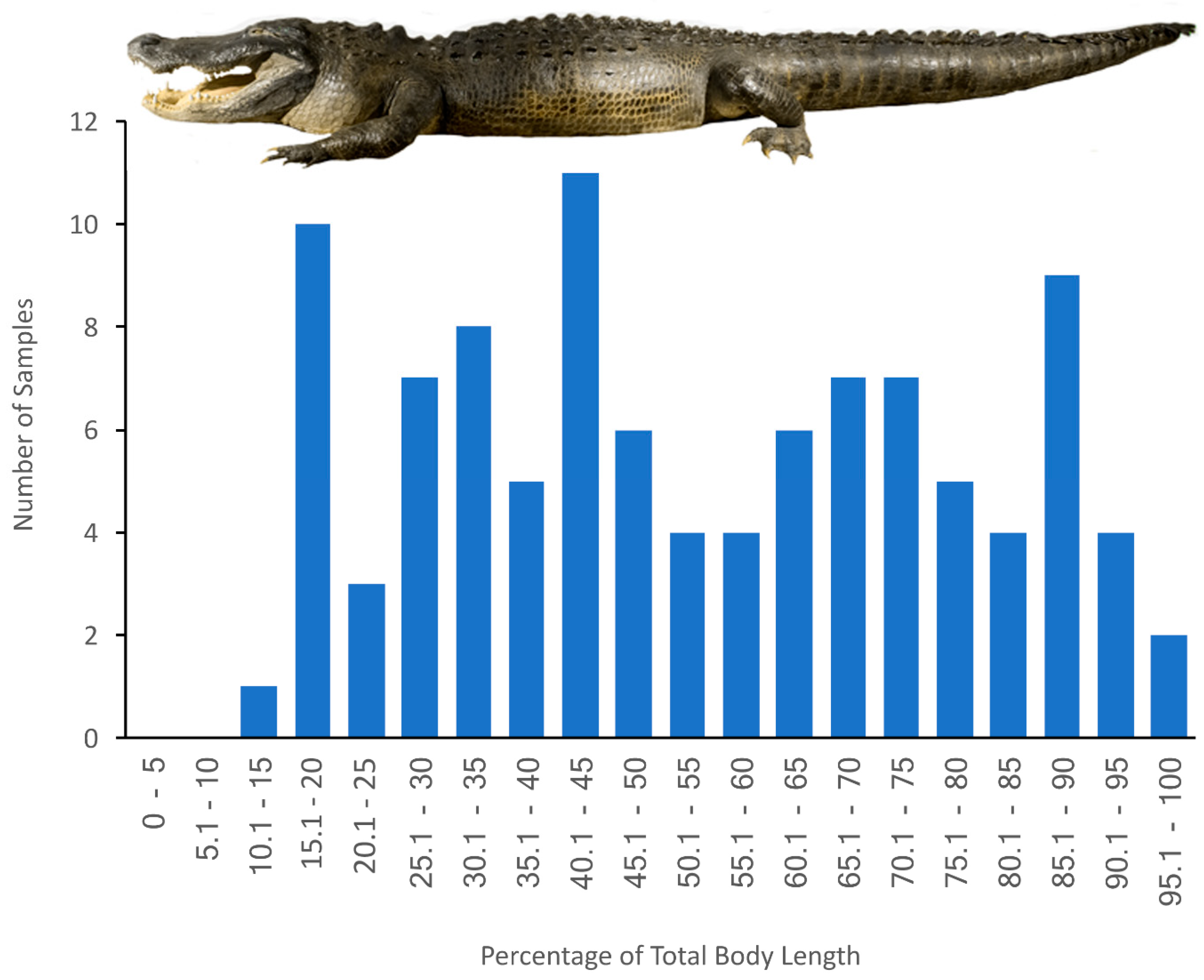 Biology 11 00514 g002 Biology 11 00514 g002
