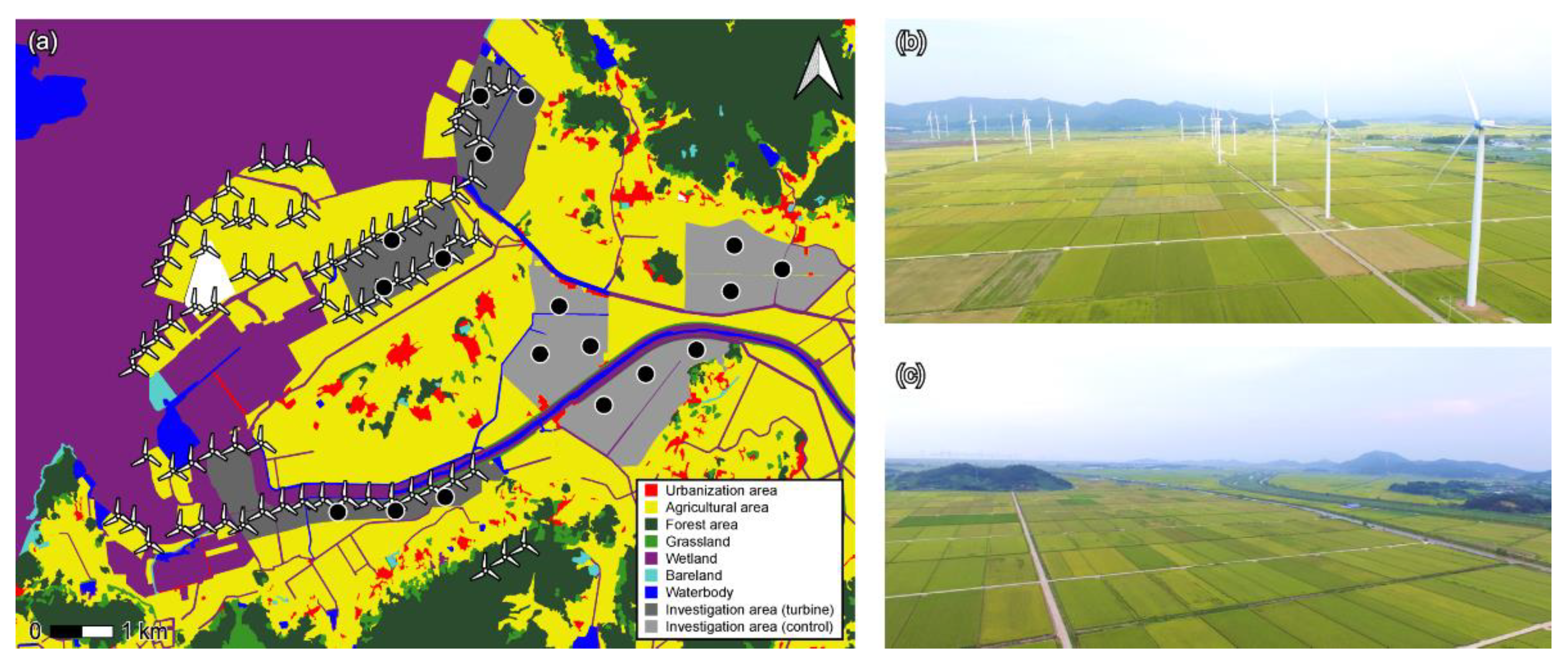 Biology 11 00516 g001