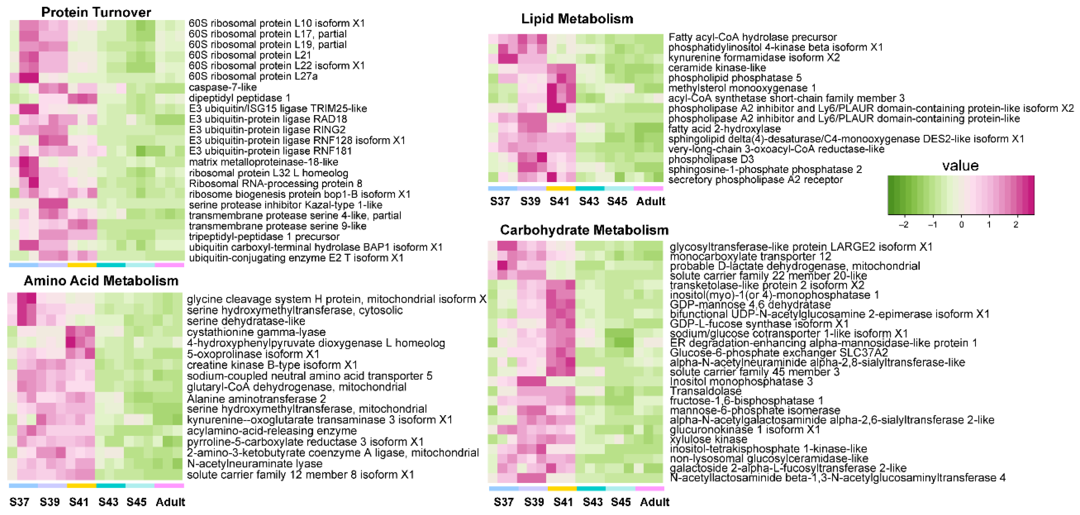 Biology 11 00528 g003