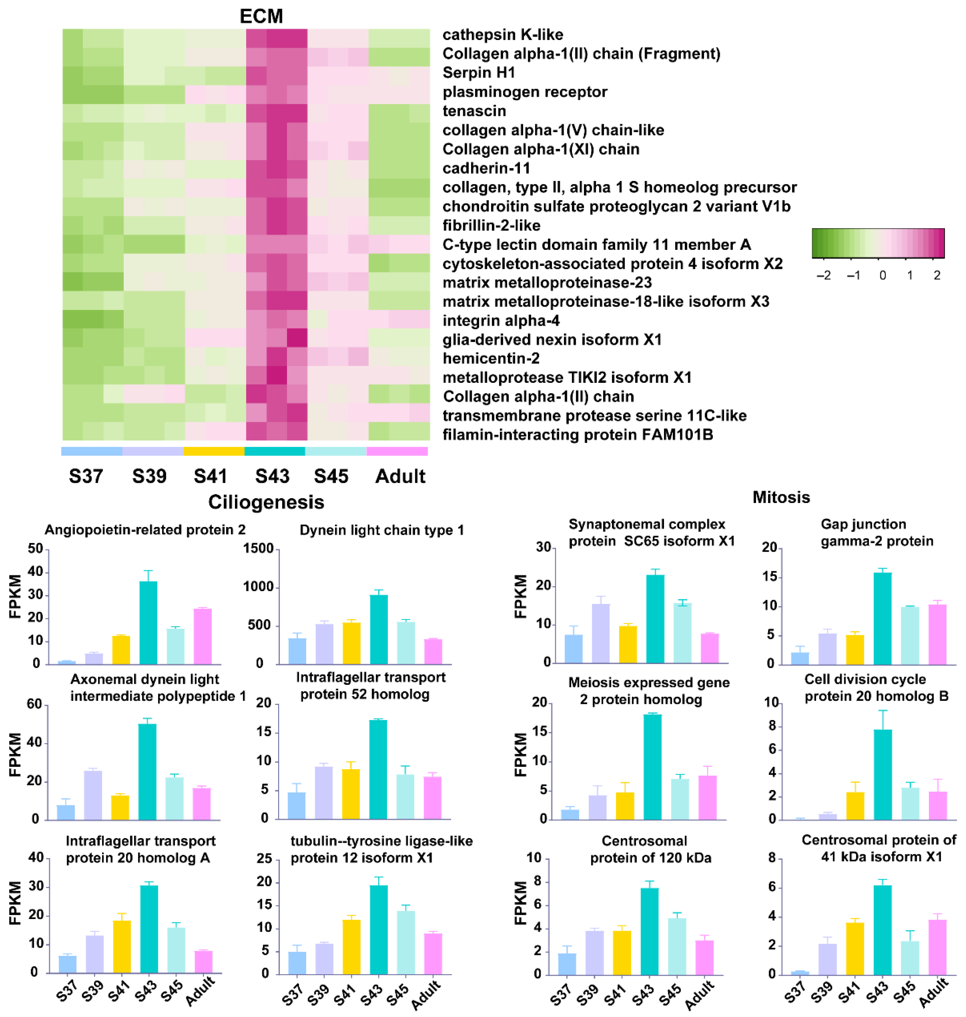 Biology 11 00528 g004