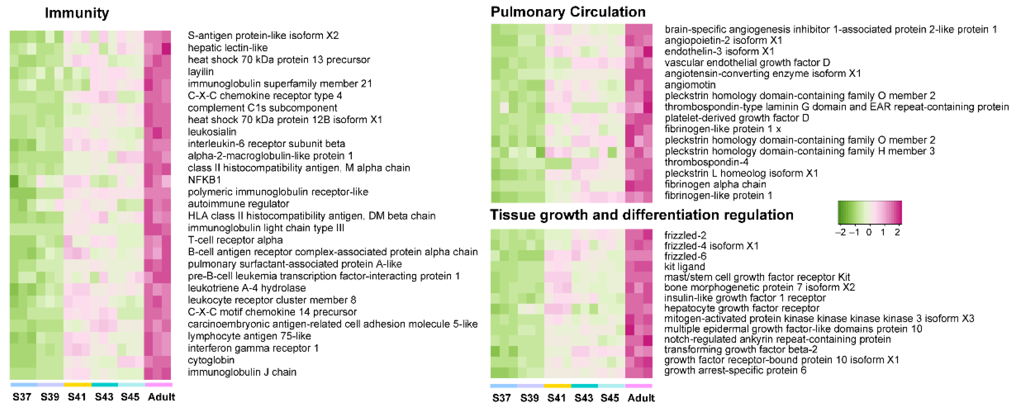 Biology 11 00528 g006