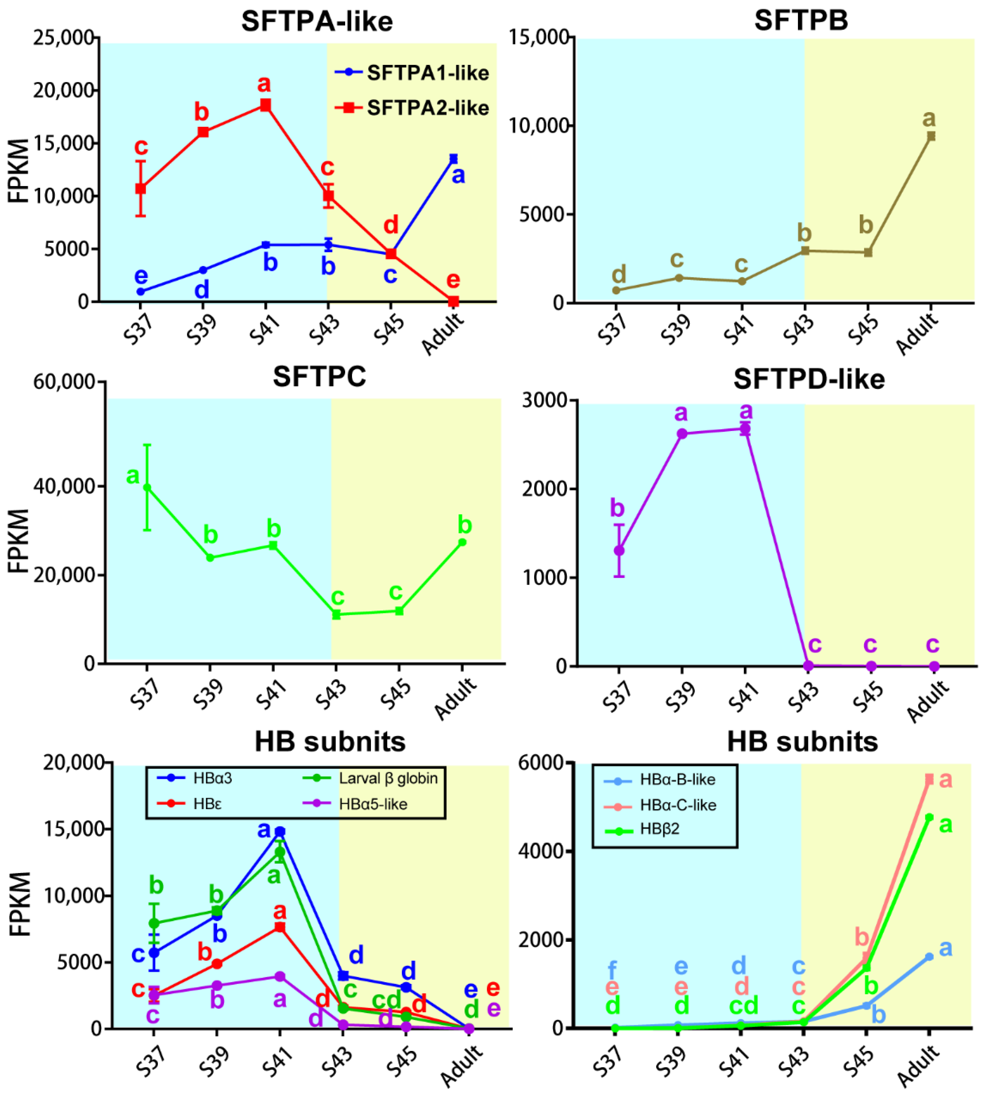 Biology 11 00528 g007