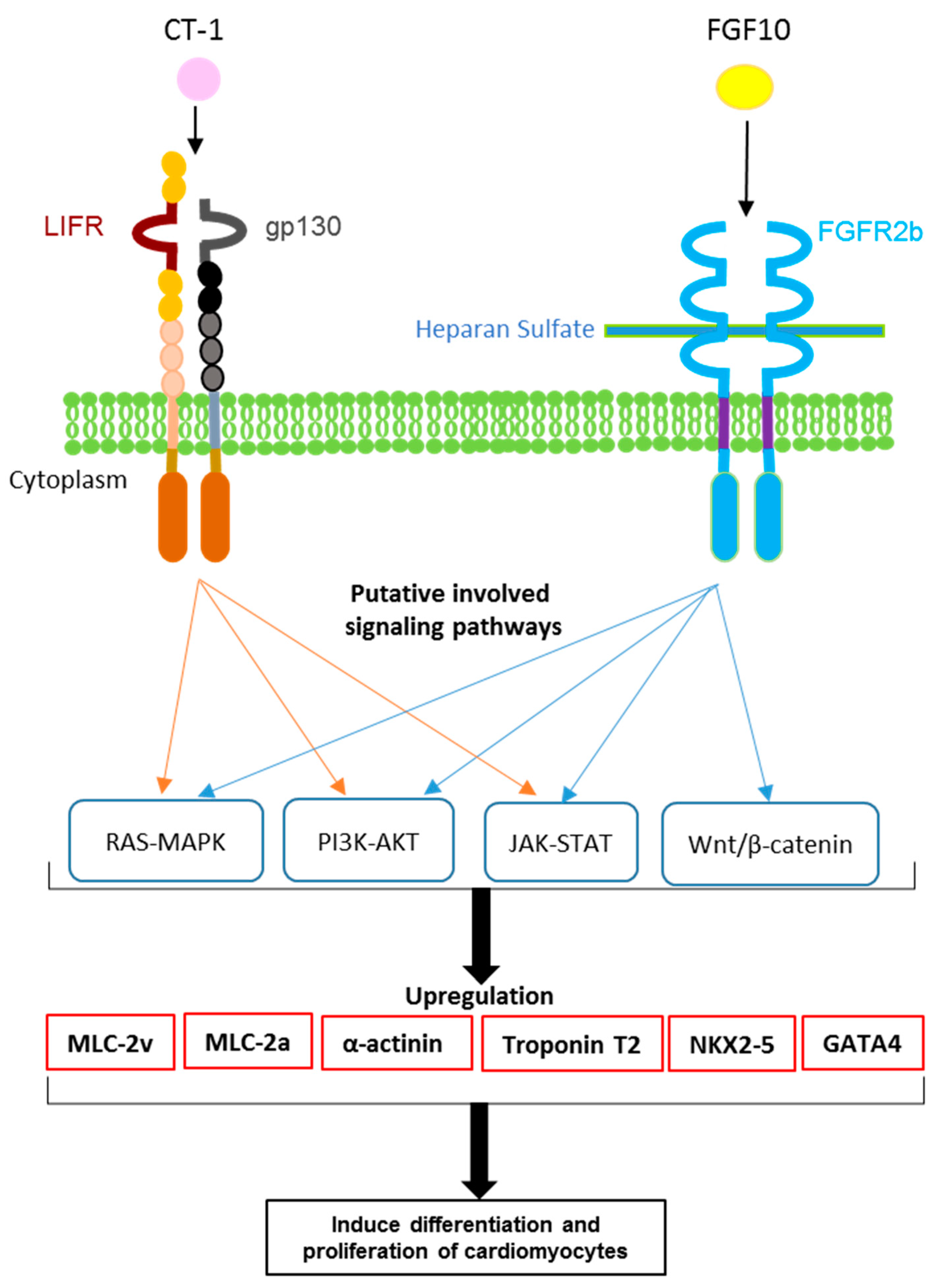 Biology 11 00534 g006
