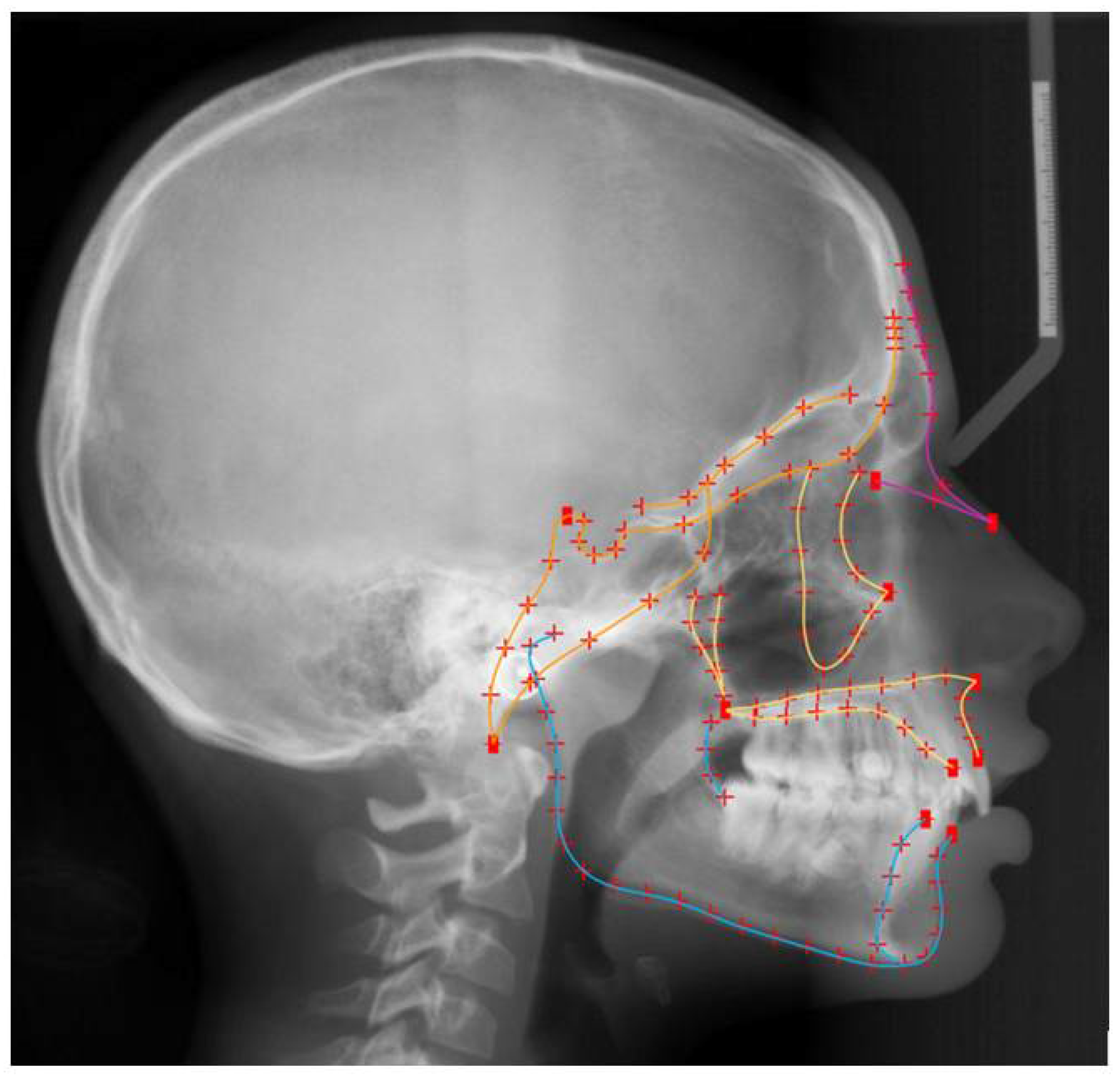 Biology 11 00544 g001