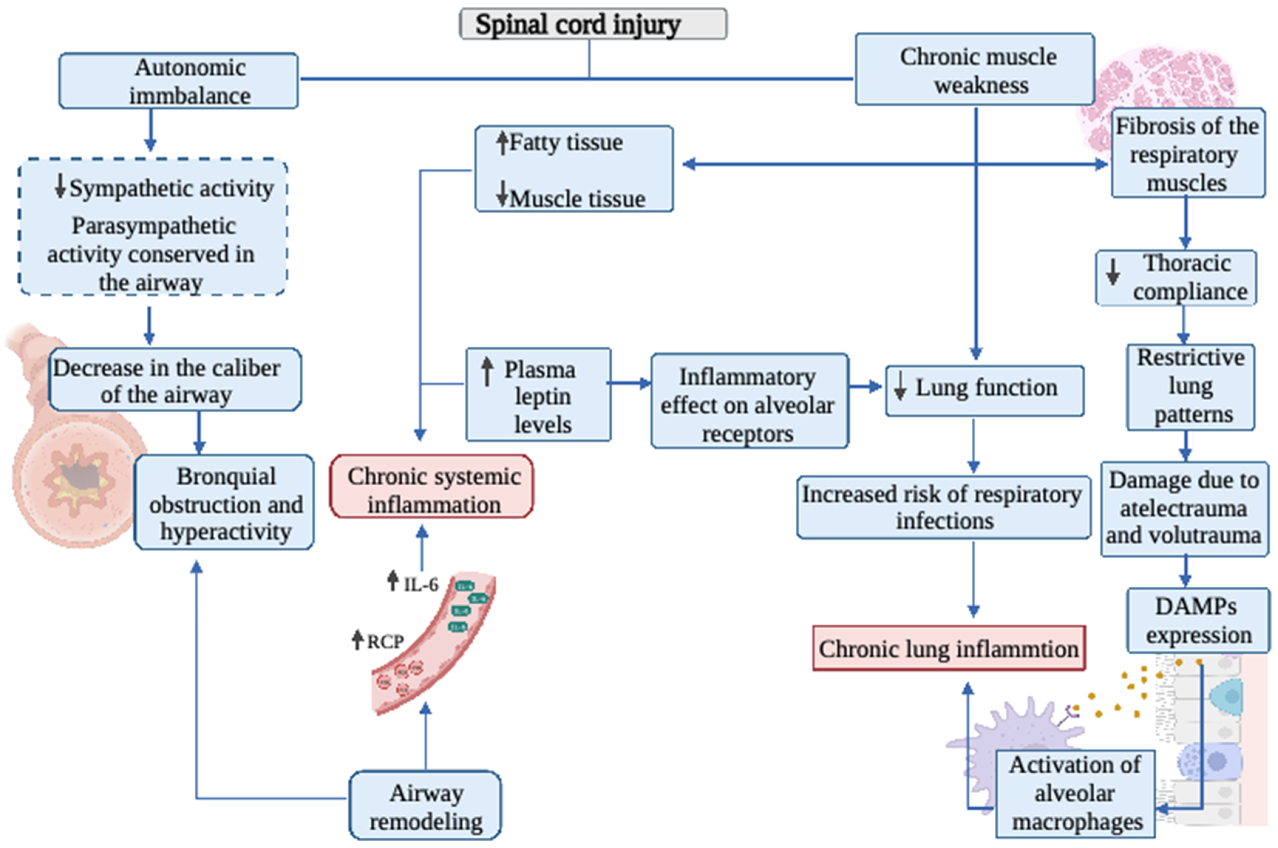 Biology 11 00550 g001 Biology 11 00550 g001