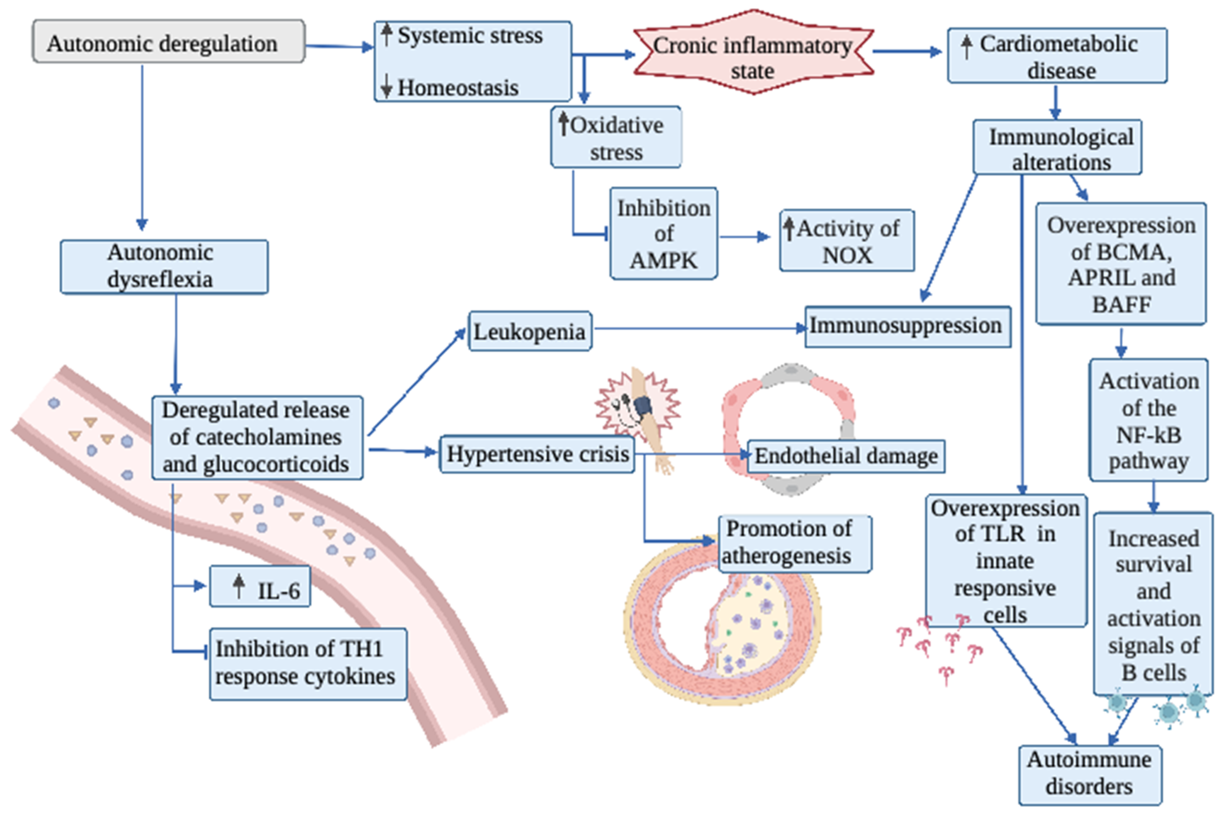 Biology 11 00550 g002 Biology 11 00550 g002