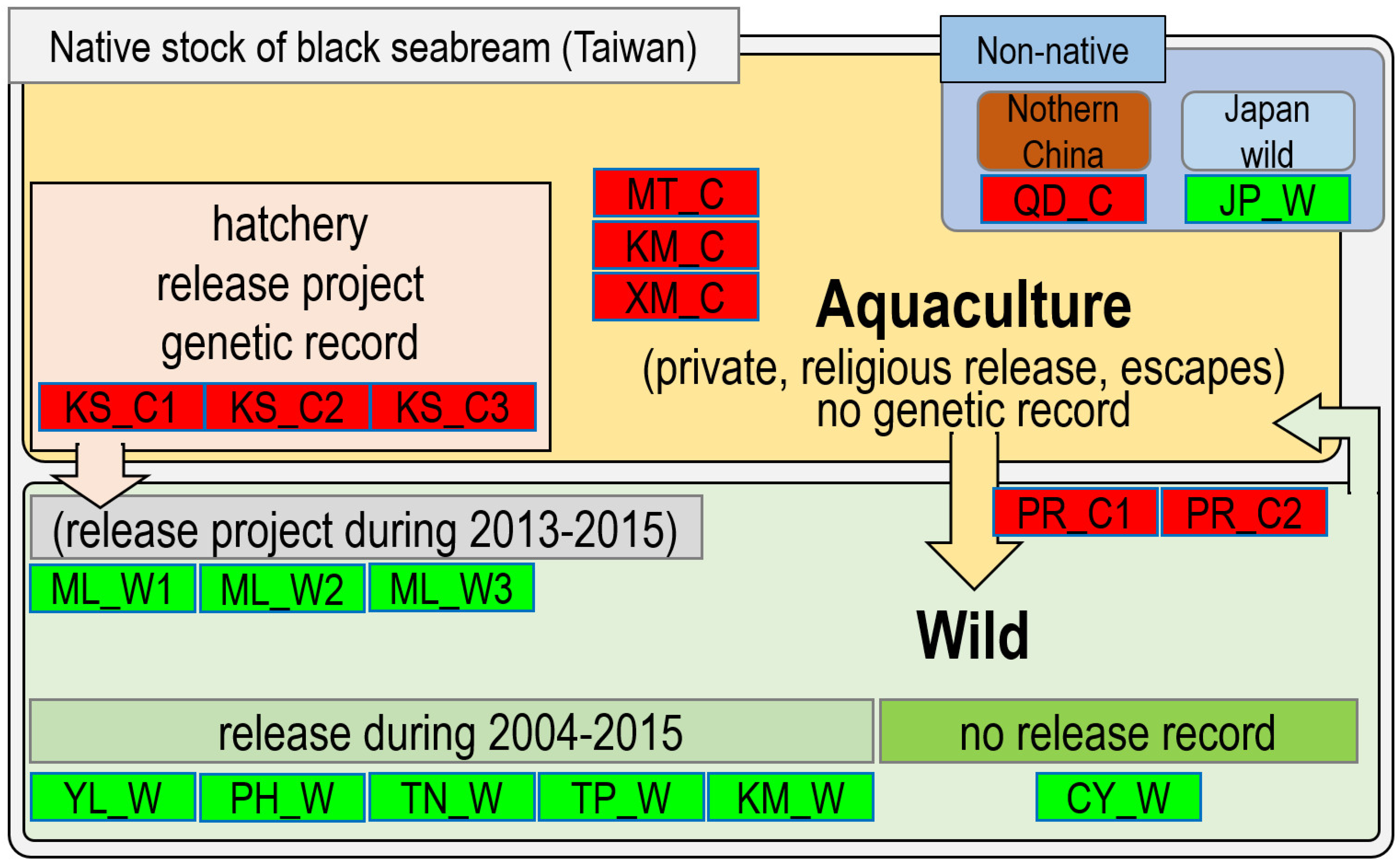 Biology 11 00554 g001