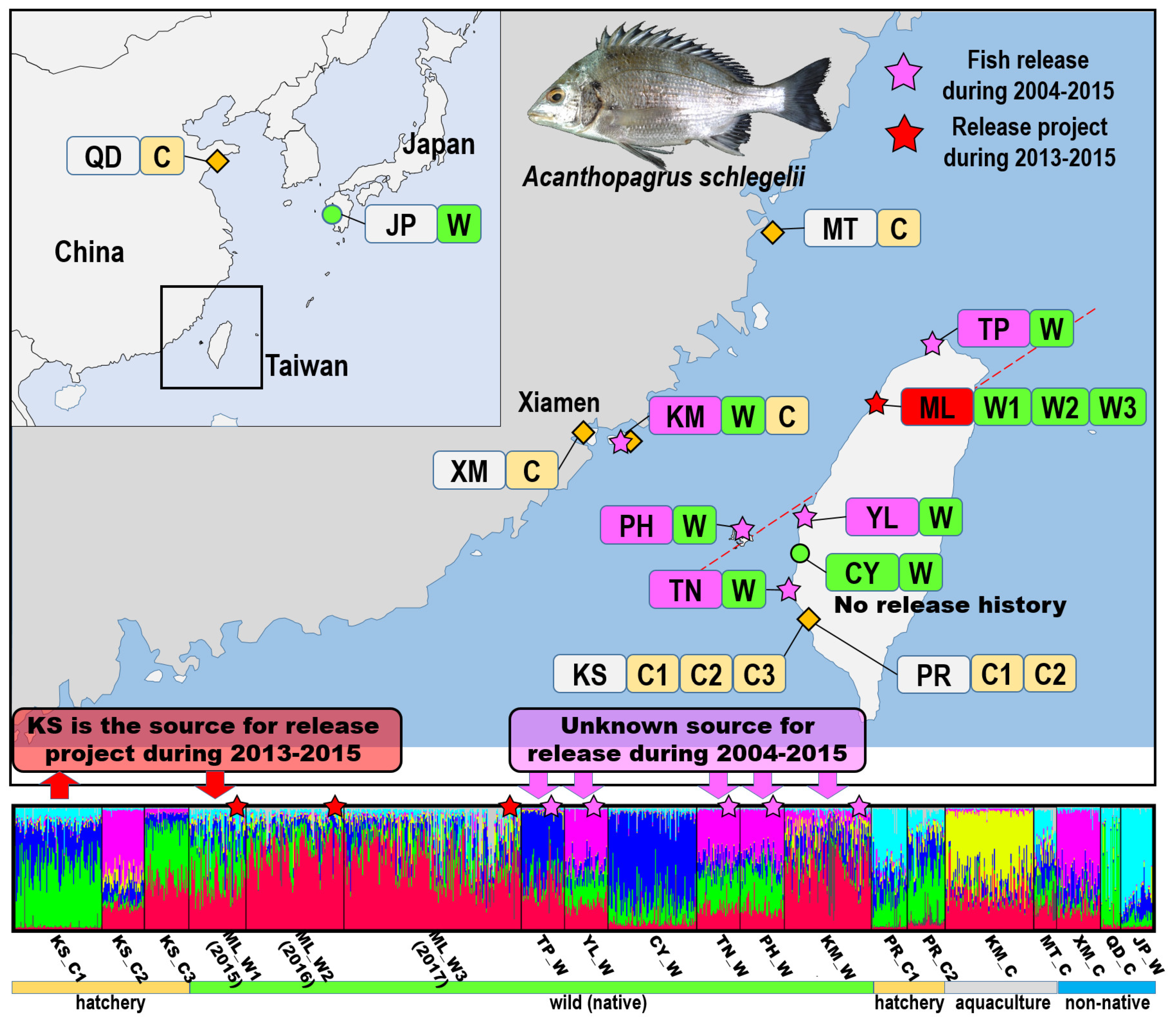 Biology 11 00554 g002