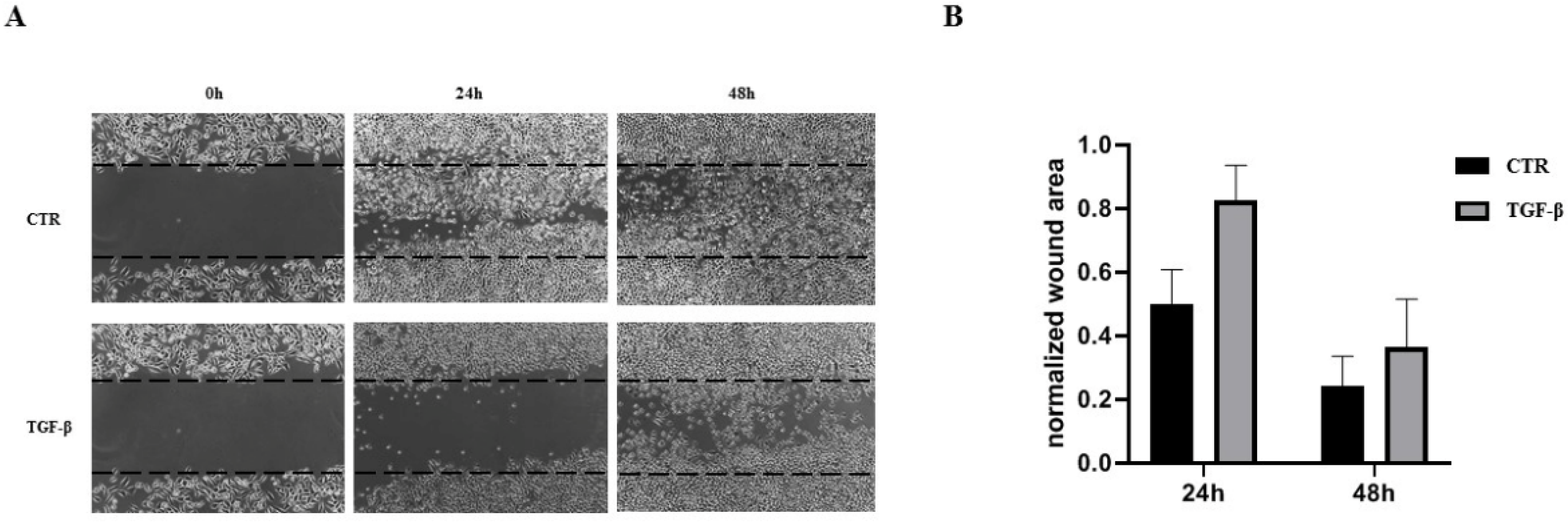 Biology 11 00566 g002