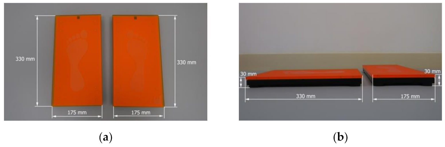 Biology 11 00577 g002