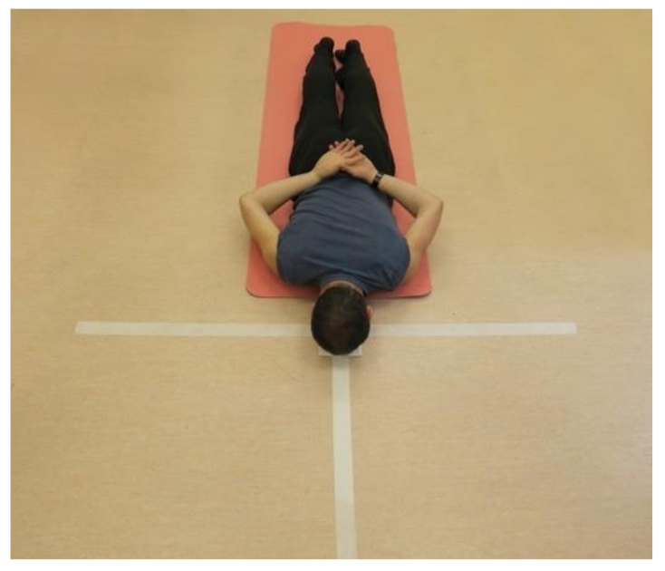 Biology 11 00577 g003