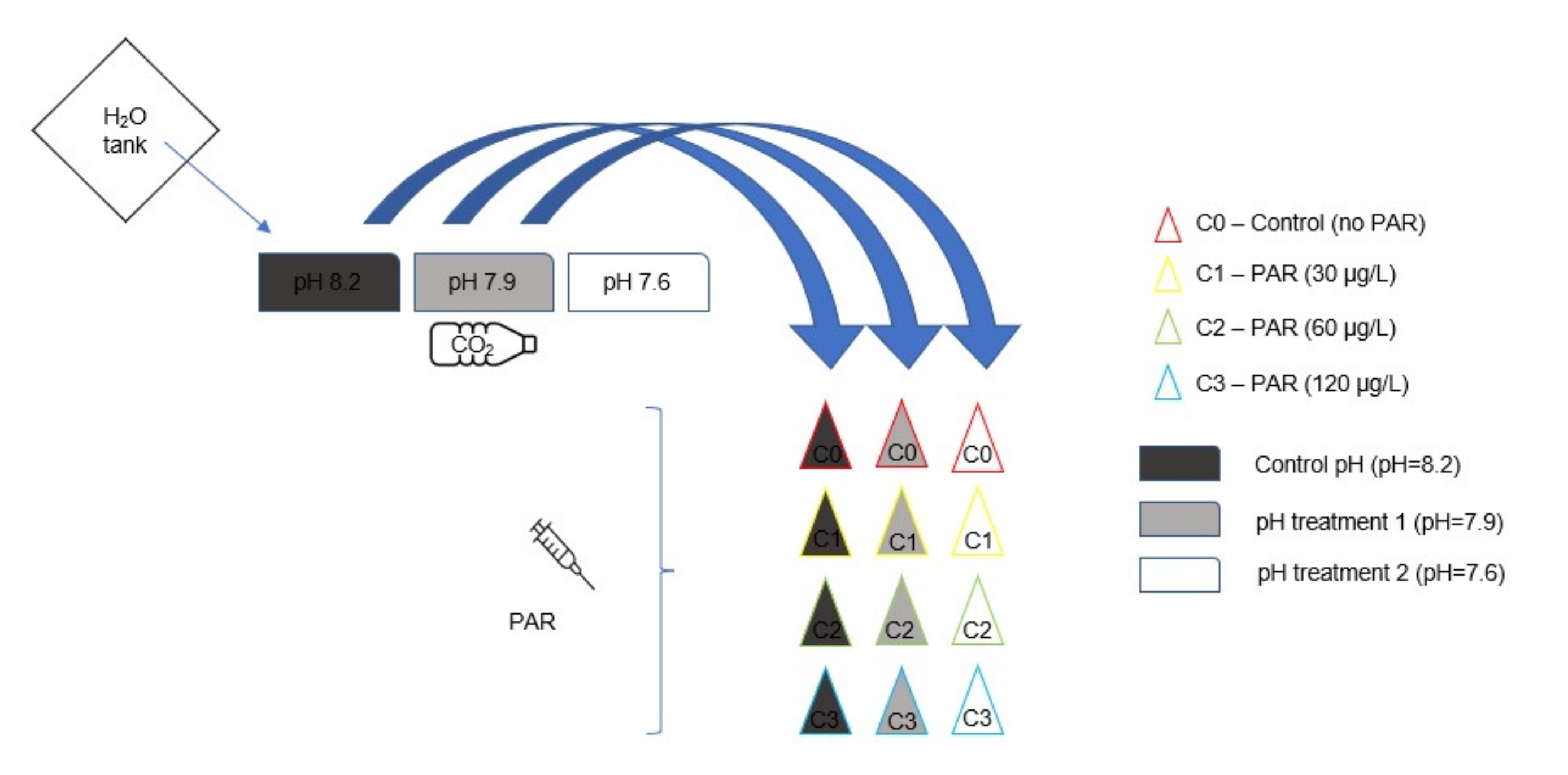 Biology 11 00581 sch001