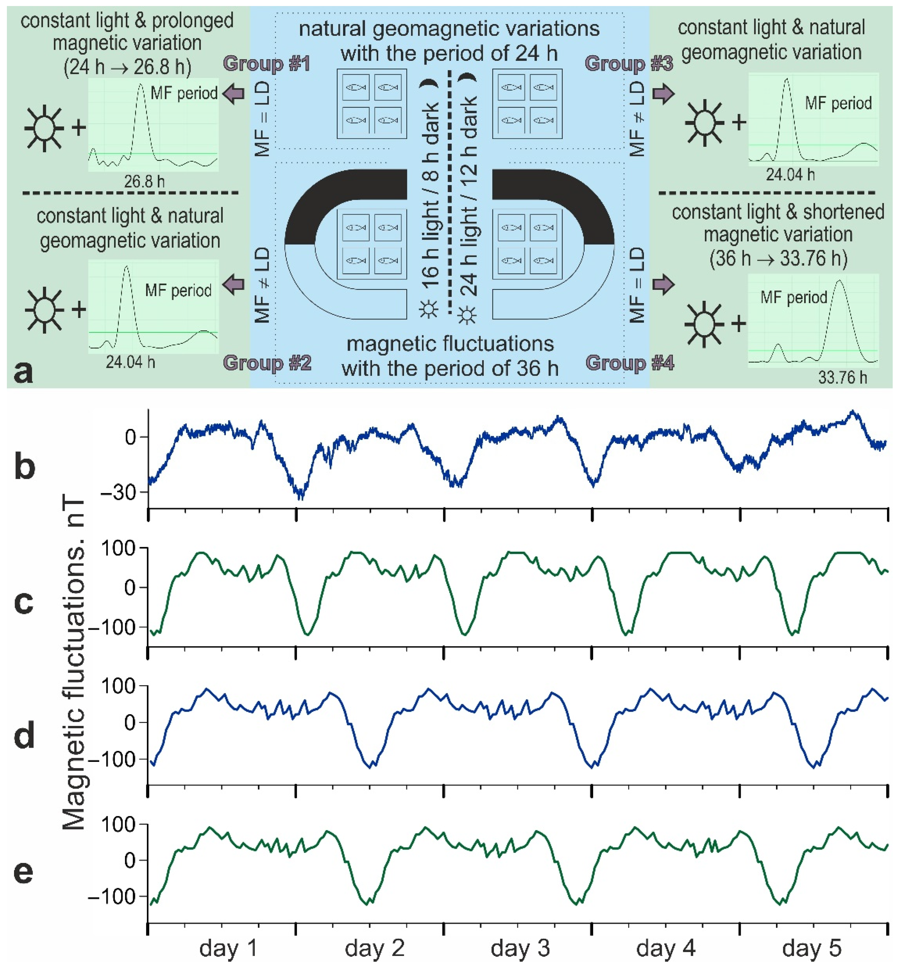 Biology 11 00591 g001