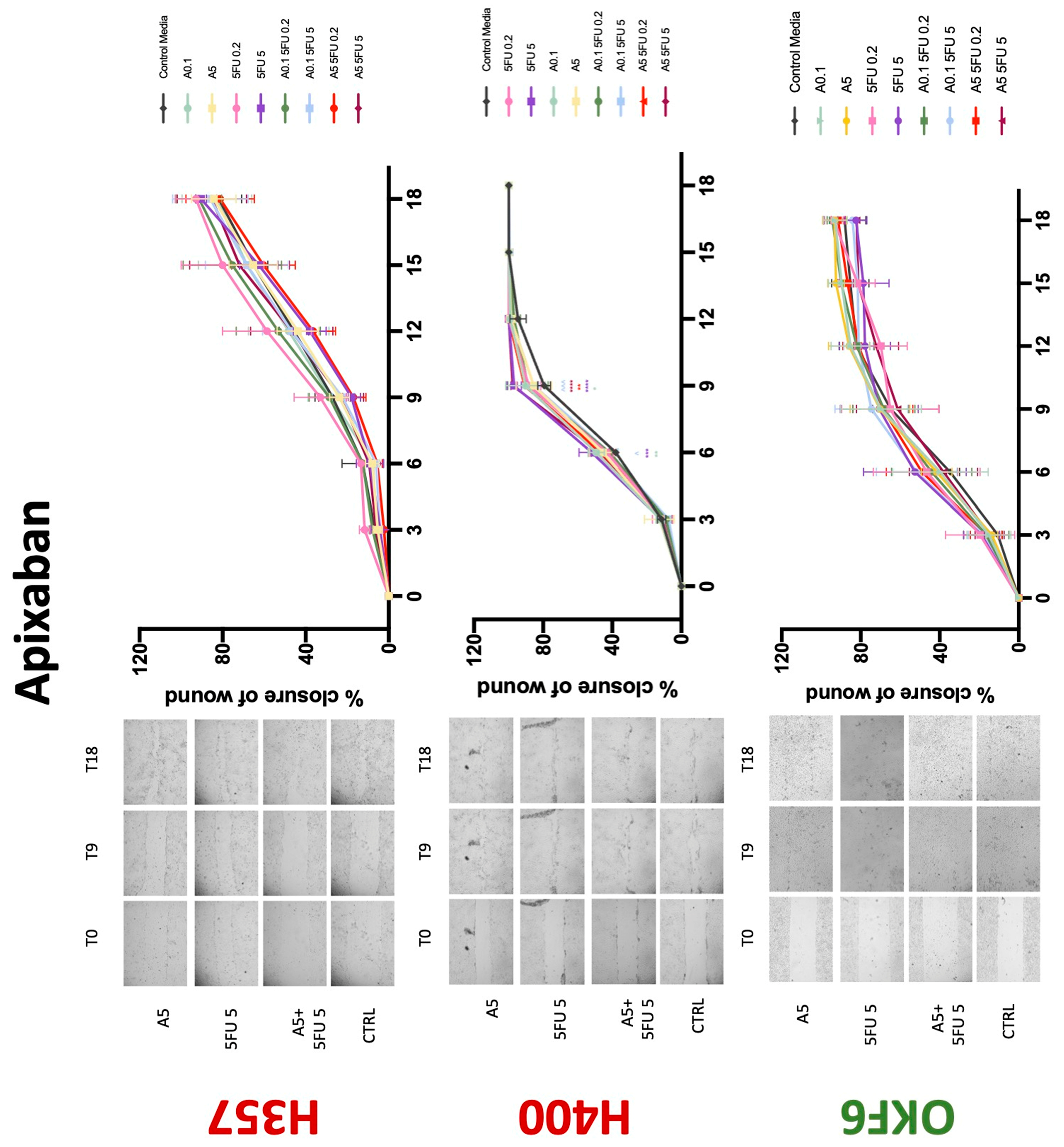 Biology 11 00596 g010