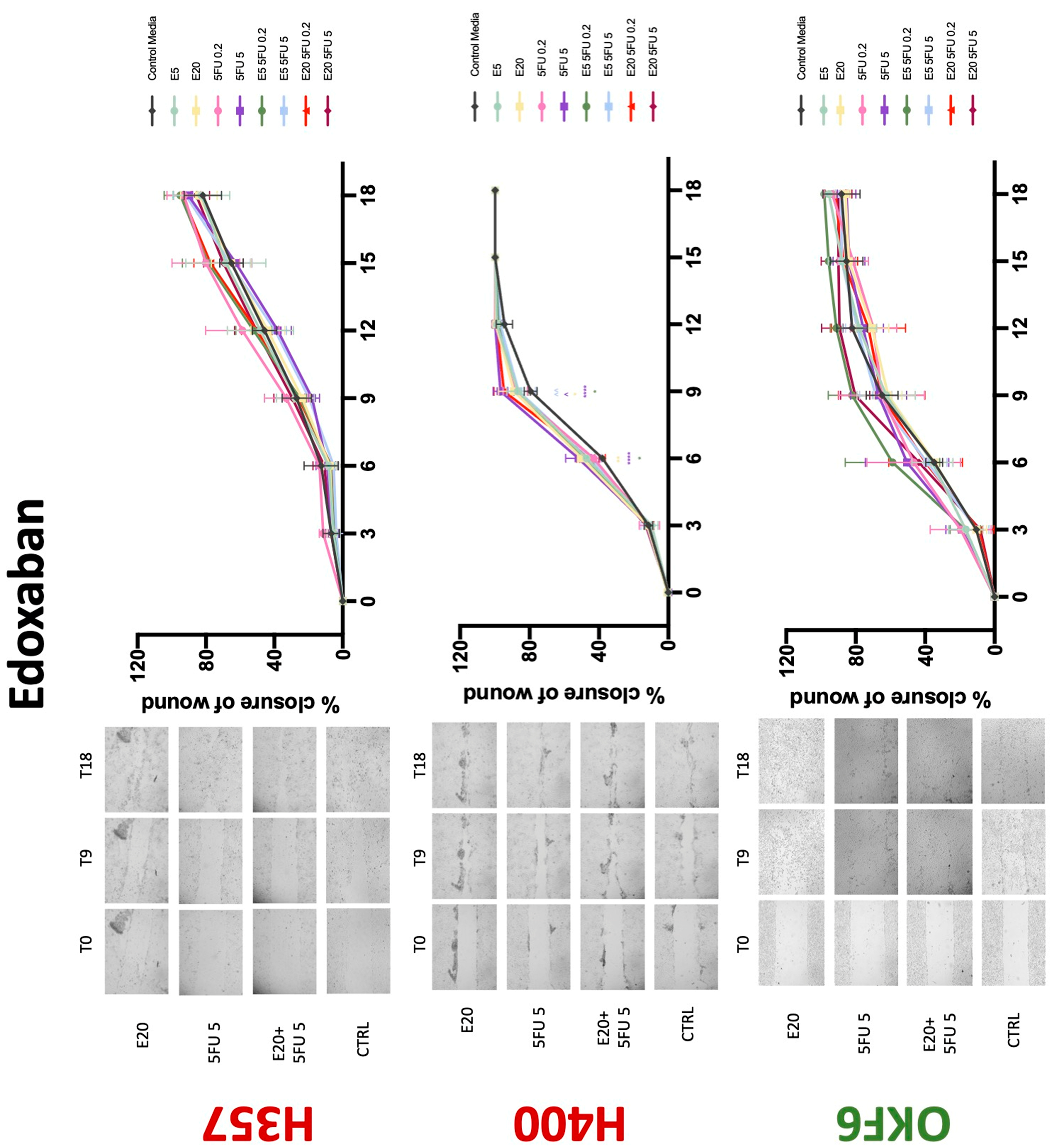 Biology 11 00596 g011