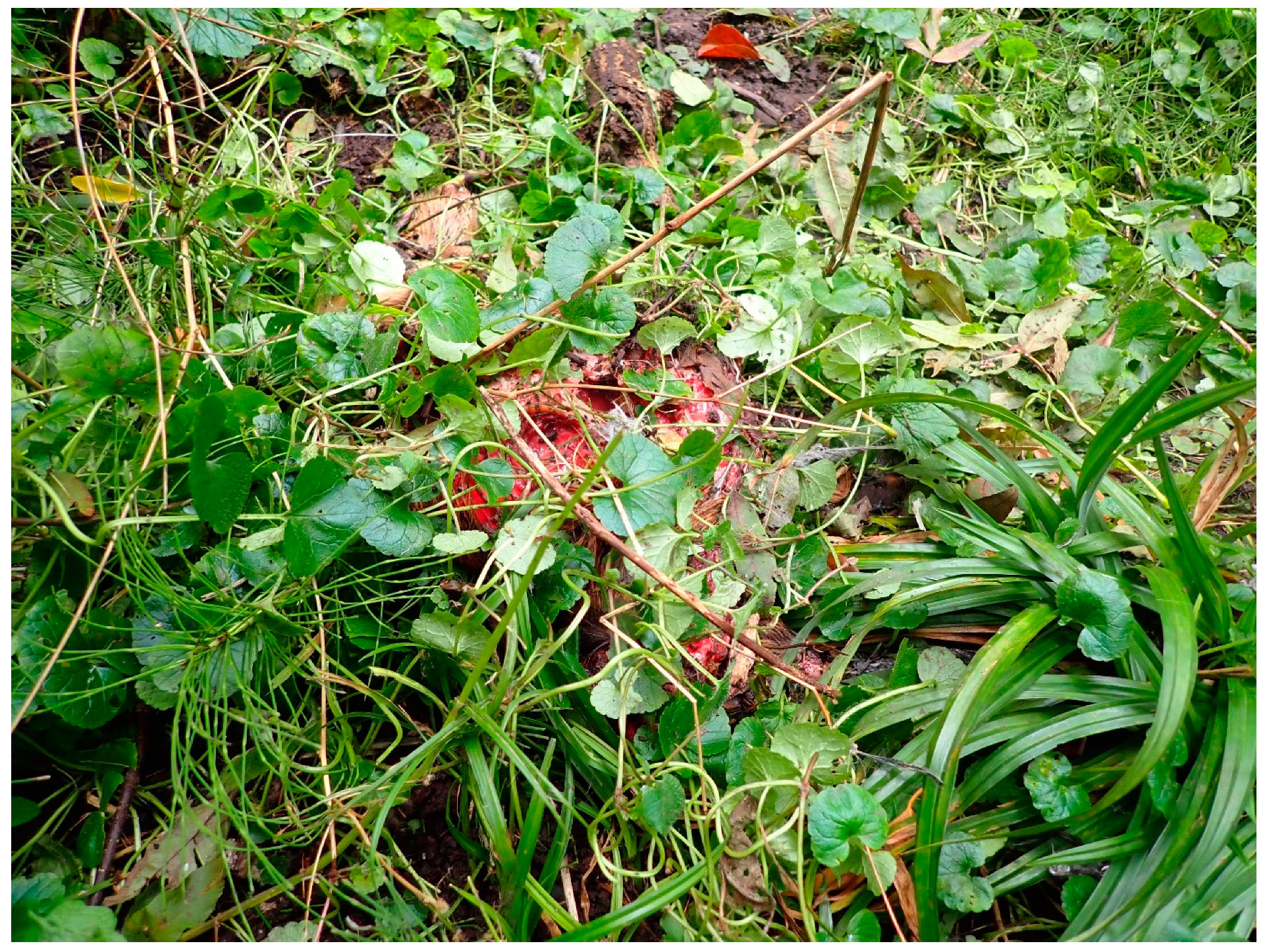 Biology 11 00601 g001 Biology 11 00601 g001